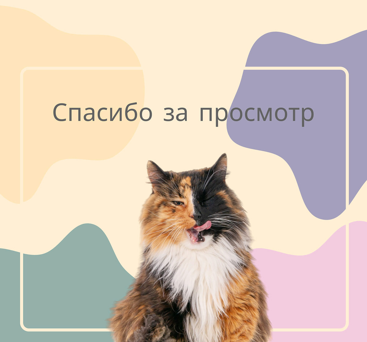 Cat Doctor — Изображение №10 — Интерфейсы на Dprofile