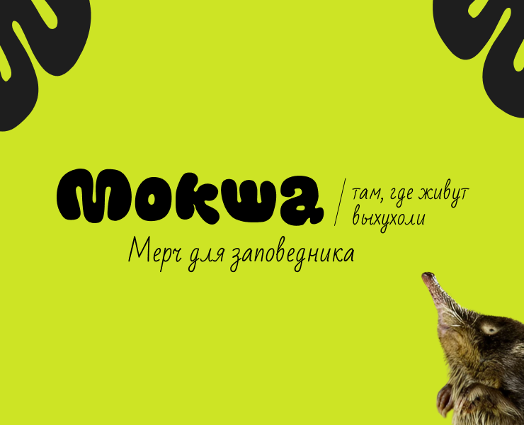 Мерч для заповедника — Брендинг на Dprofile