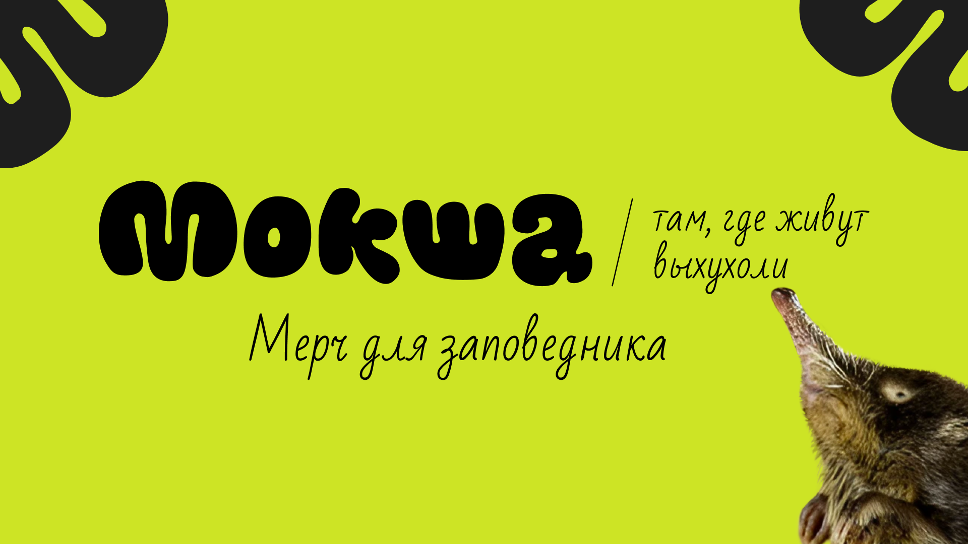 Мерч для заповедника — Изображение №1 — Брендинг на Dprofile