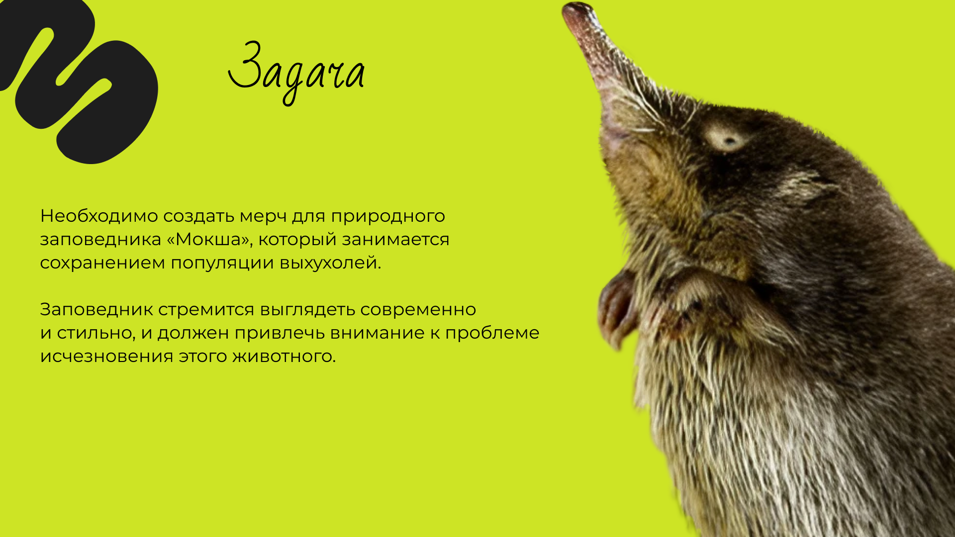 Мерч для заповедника — Изображение №2 — Брендинг на Dprofile