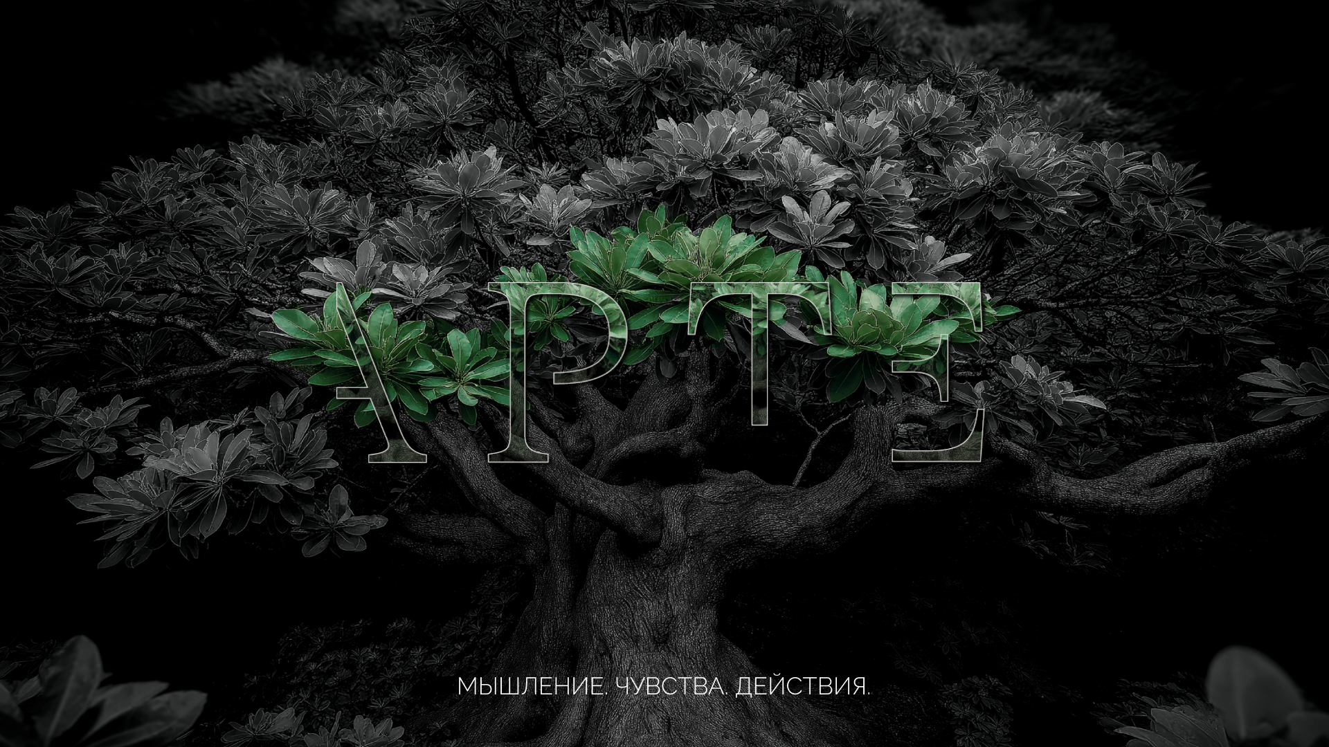 Институт APTE — Изображение №8 — Брендинг на Dprofile