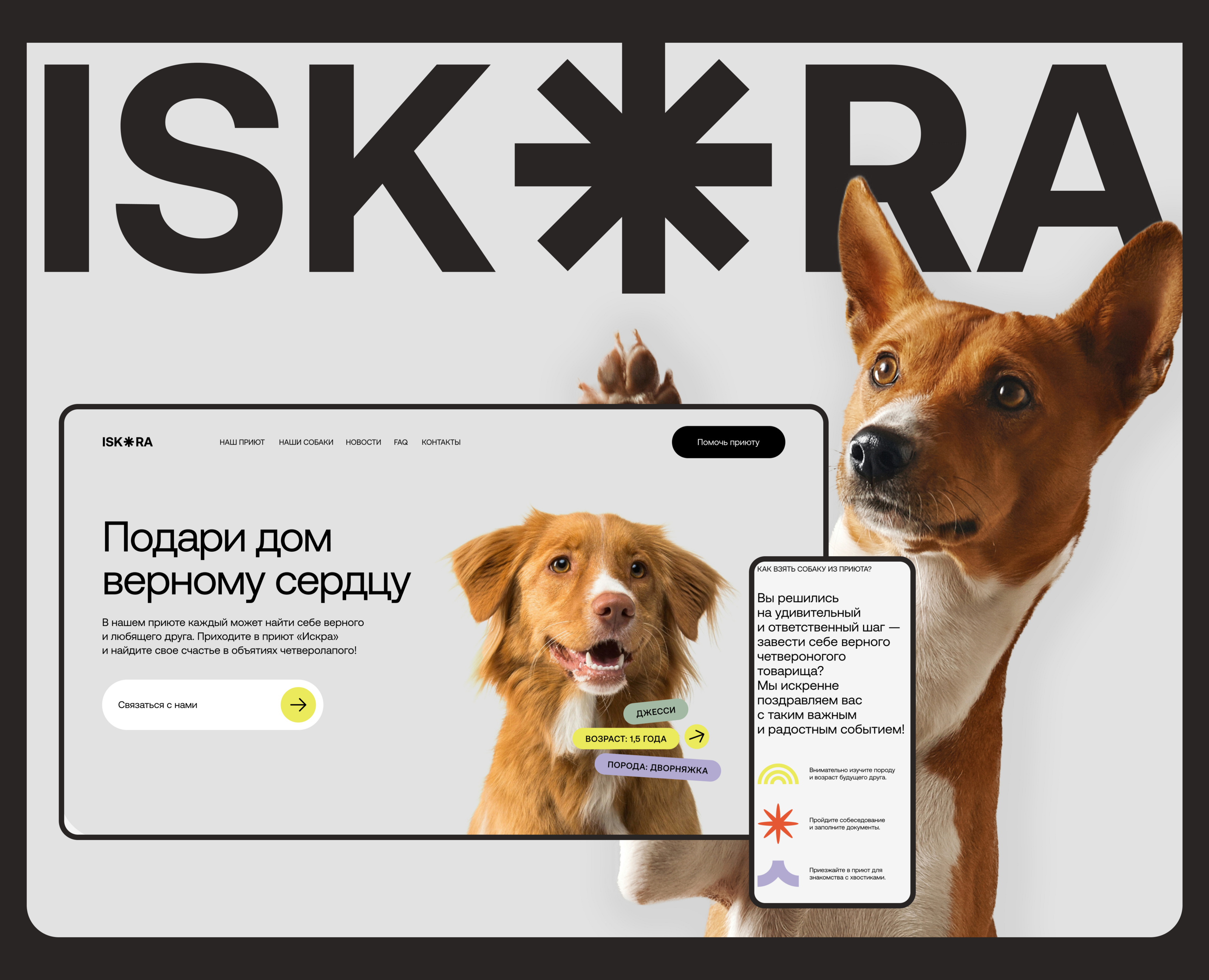 ISKRA DOG SHELTER | Website redesign — Интерфейсы на Dprofile