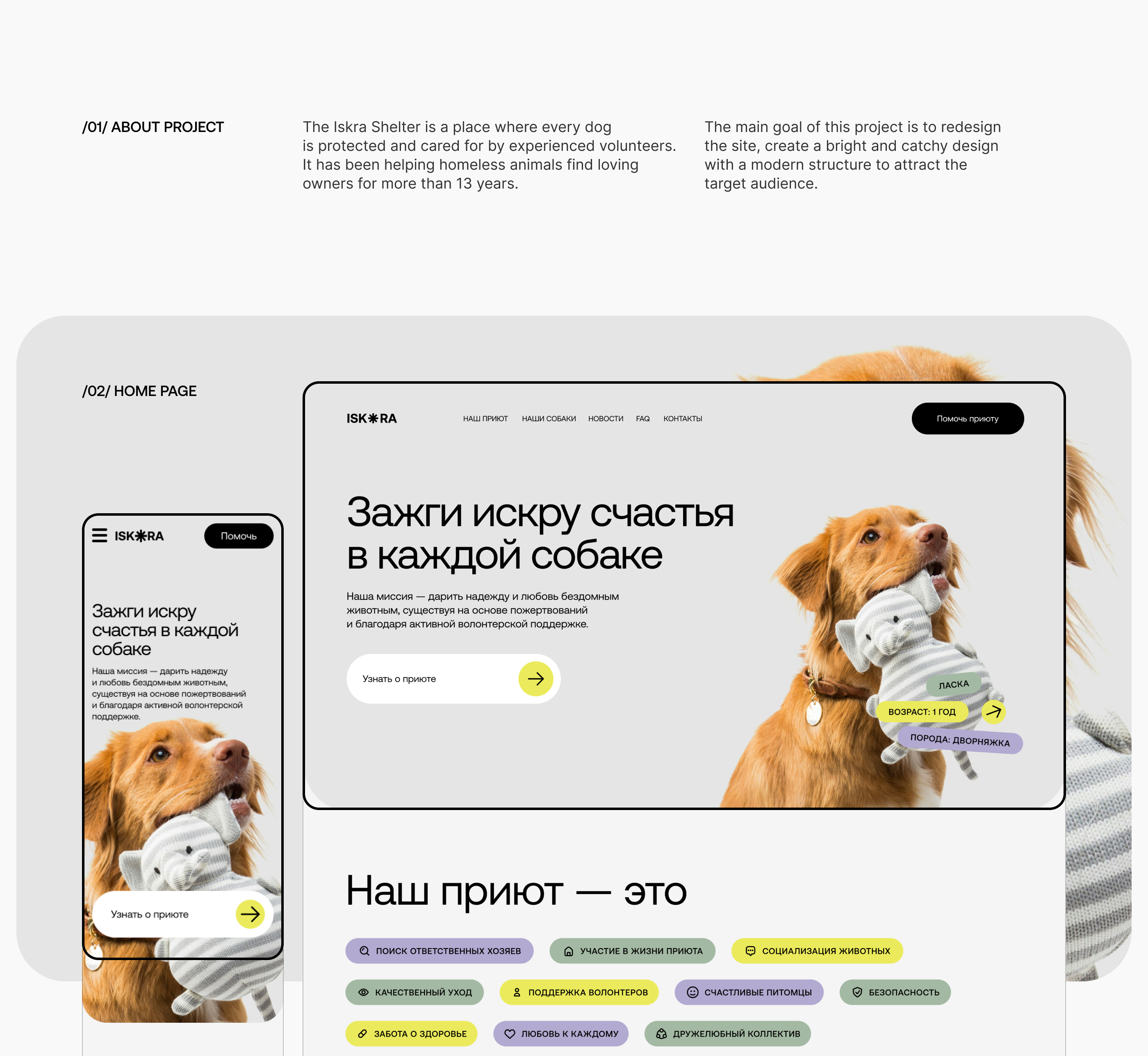 ISKRA DOG SHELTER | Website redesign — Изображение №2 — Интерфейсы на Dprofile