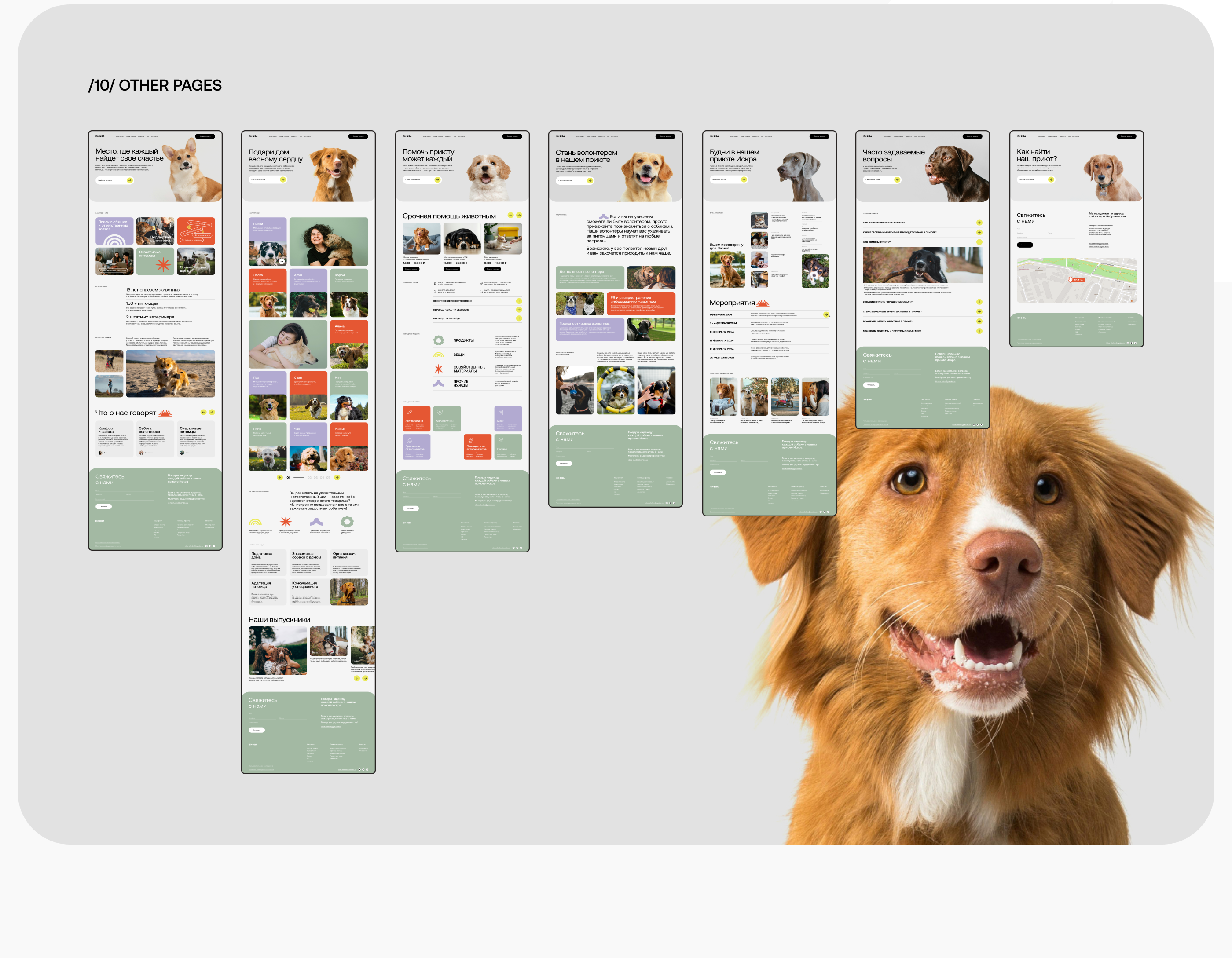 ISKRA DOG SHELTER | Website redesign — Изображение №15 — Интерфейсы на Dprofile