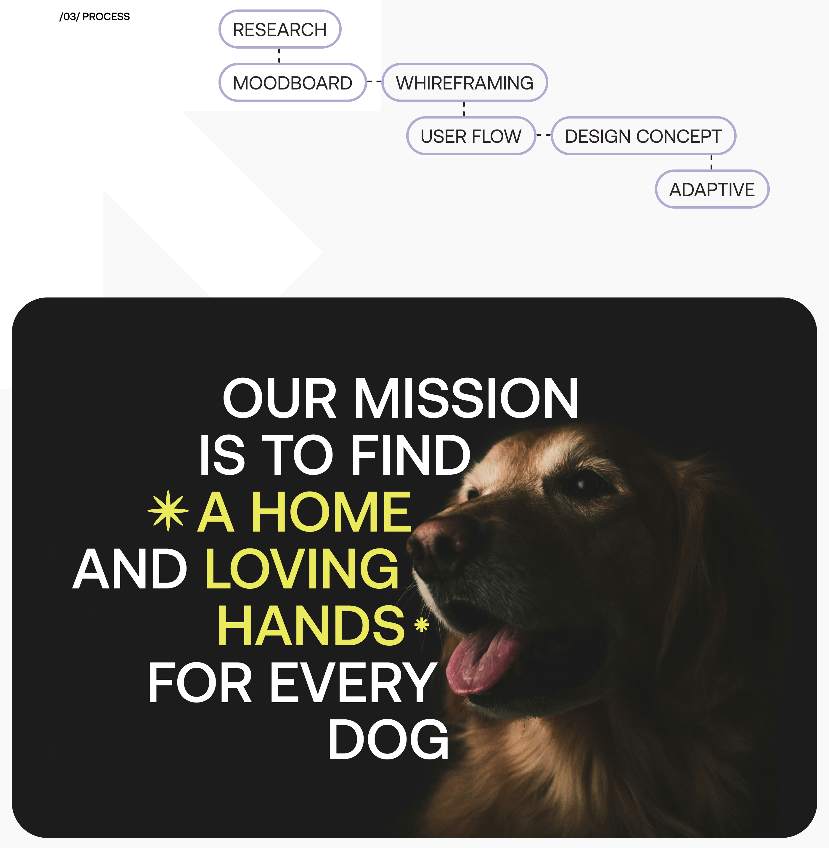 ISKRA DOG SHELTER | Website redesign — Изображение №7 — Интерфейсы на Dprofile