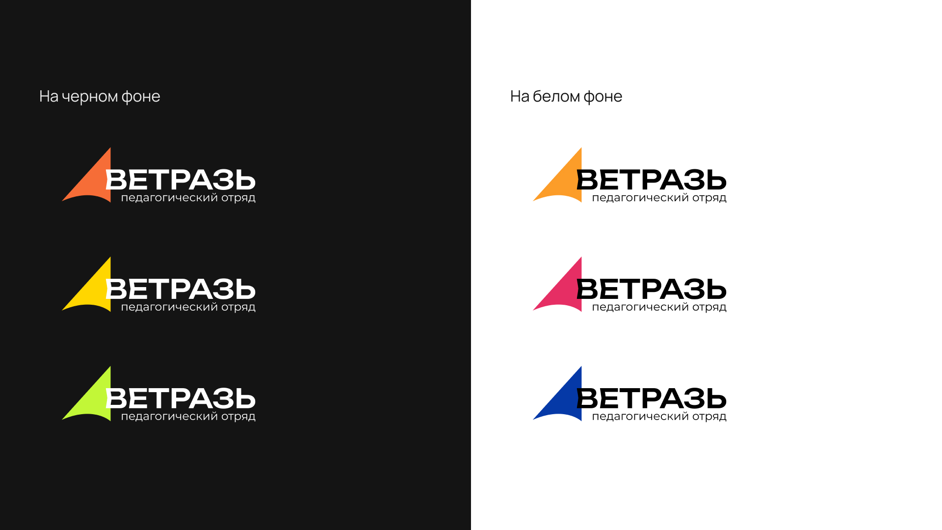 Айдентика педагогического отряда "Ветразь" — Изображение №3 — Брендинг на Dprofile