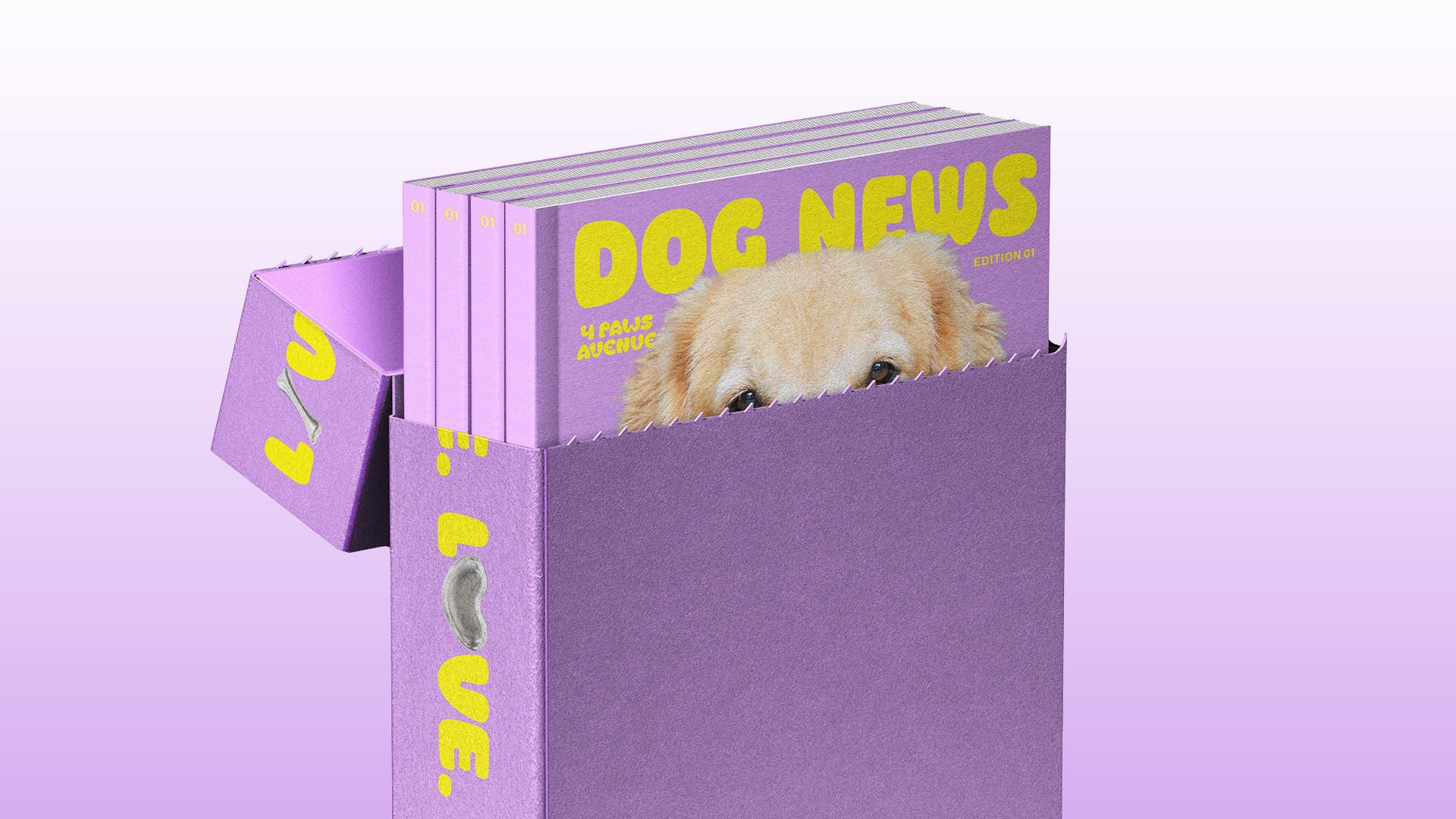 4 PAWS AVENUE — Изображение №21 — Брендинг, Графика на Dprofile