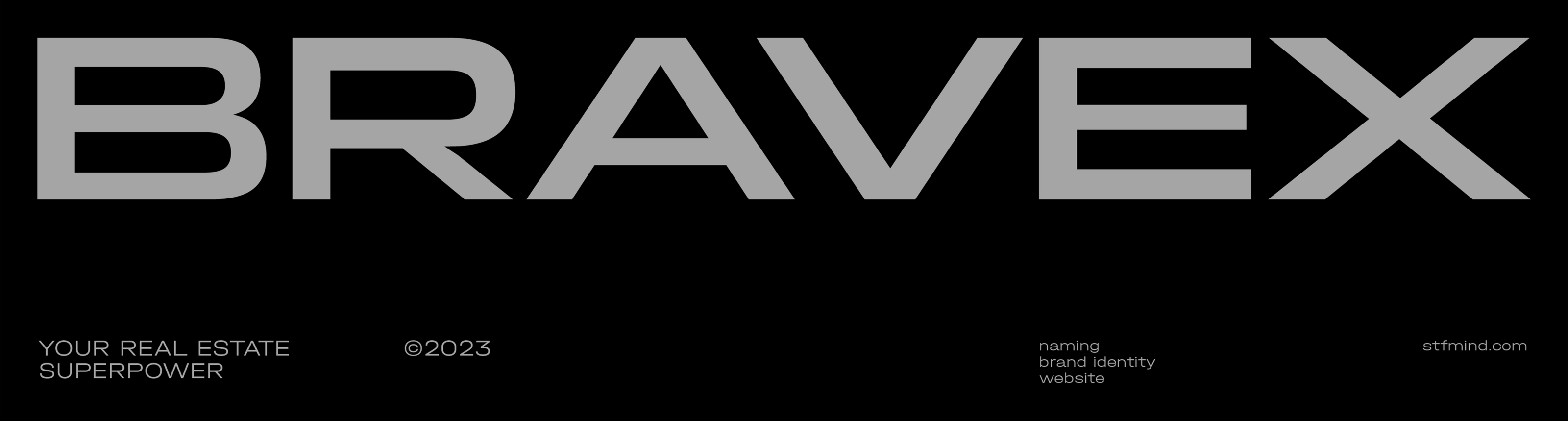 BRAVEX — Изображение №1 — Брендинг, Графика на Dprofile