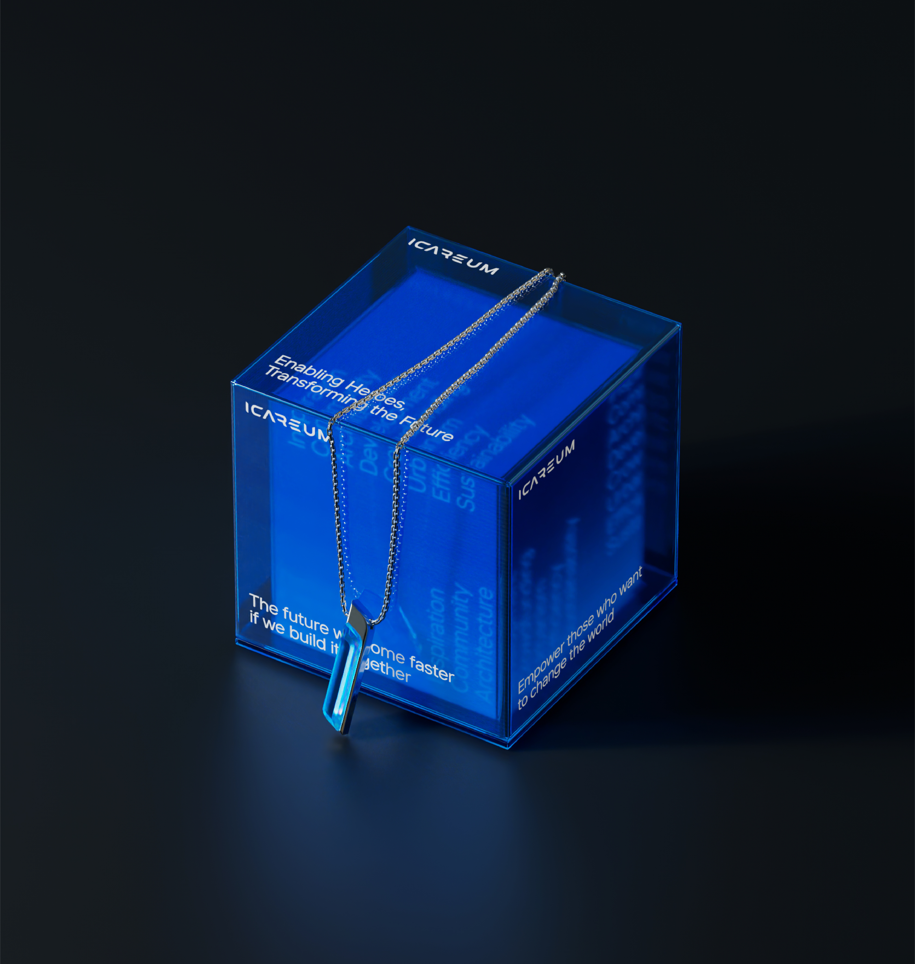 ICAREUM — Изображение №19 — Брендинг, Графика на Dprofile