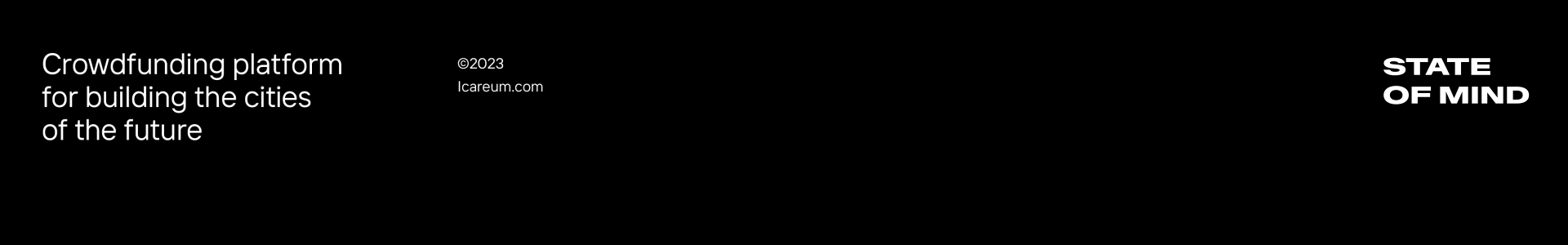 ICAREUM — Изображение №2 — Брендинг, Графика на Dprofile