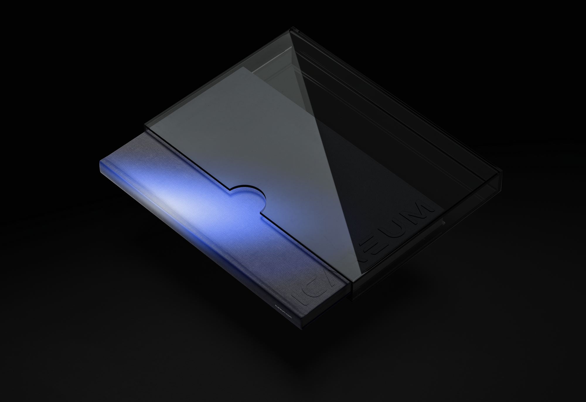 ICAREUM — Изображение №4 — Брендинг, Графика на Dprofile