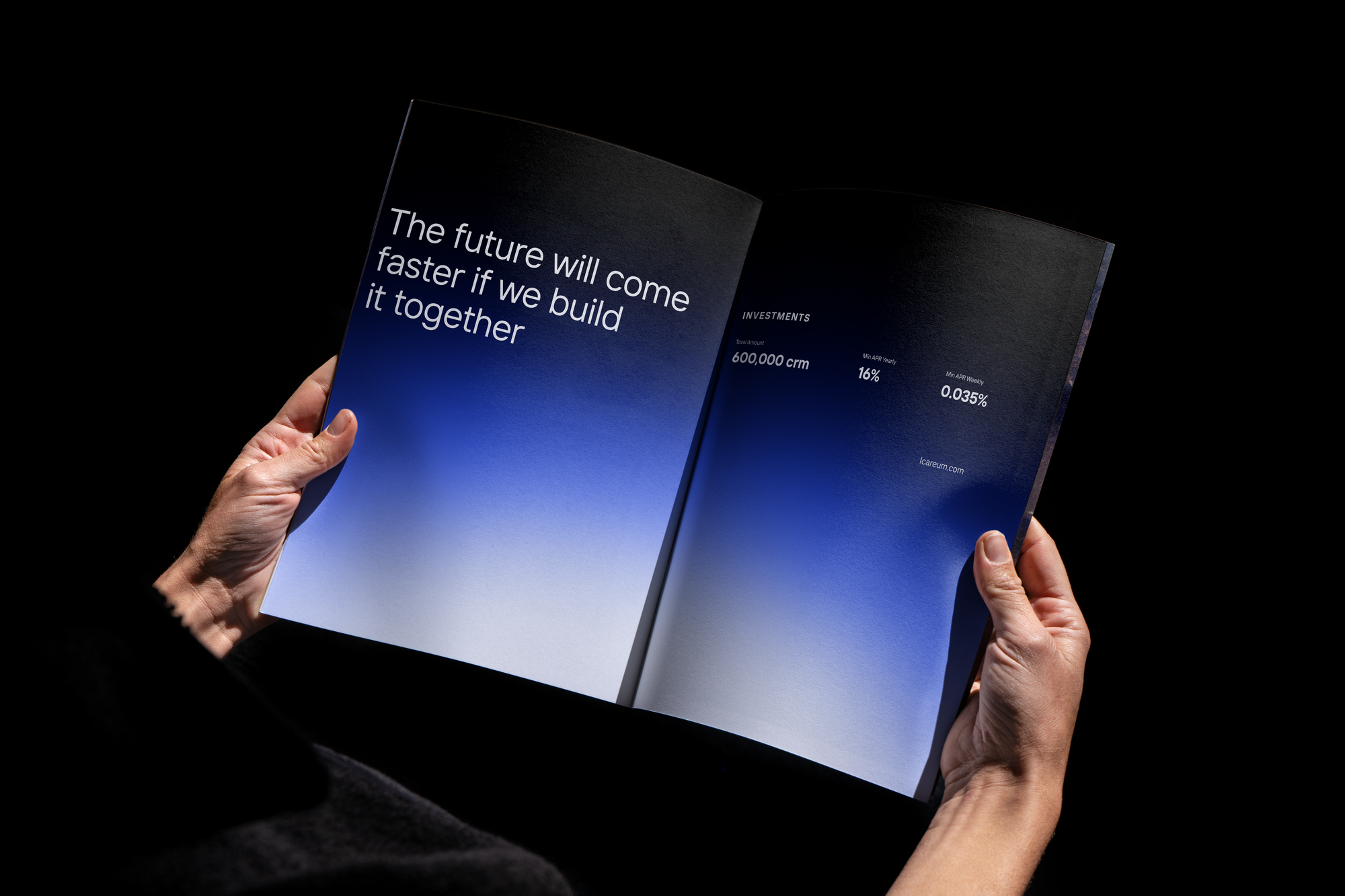 ICAREUM — Изображение №5 — Брендинг, Графика на Dprofile