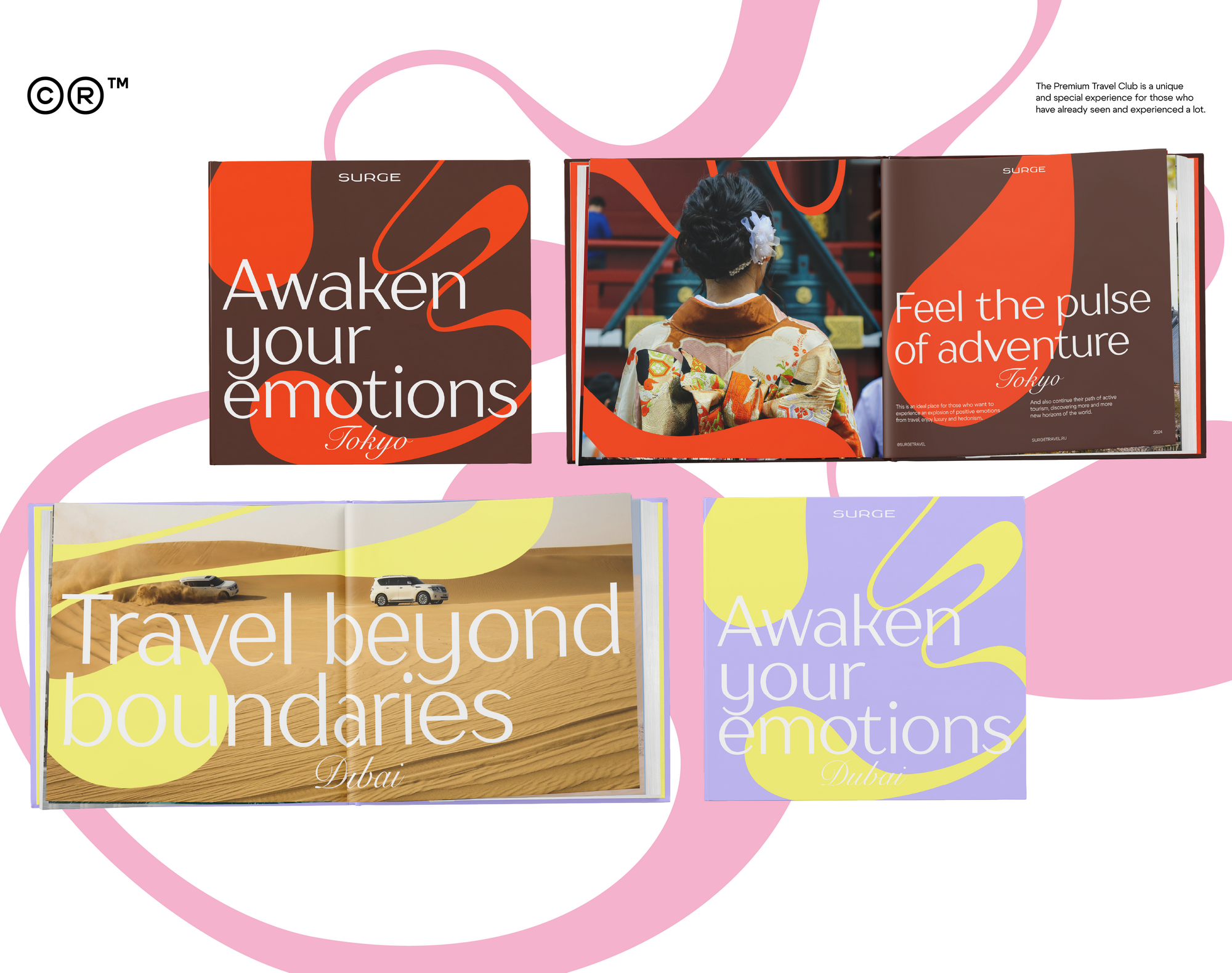 SURGE — Изображение №5 — Брендинг, Графика на Dprofile