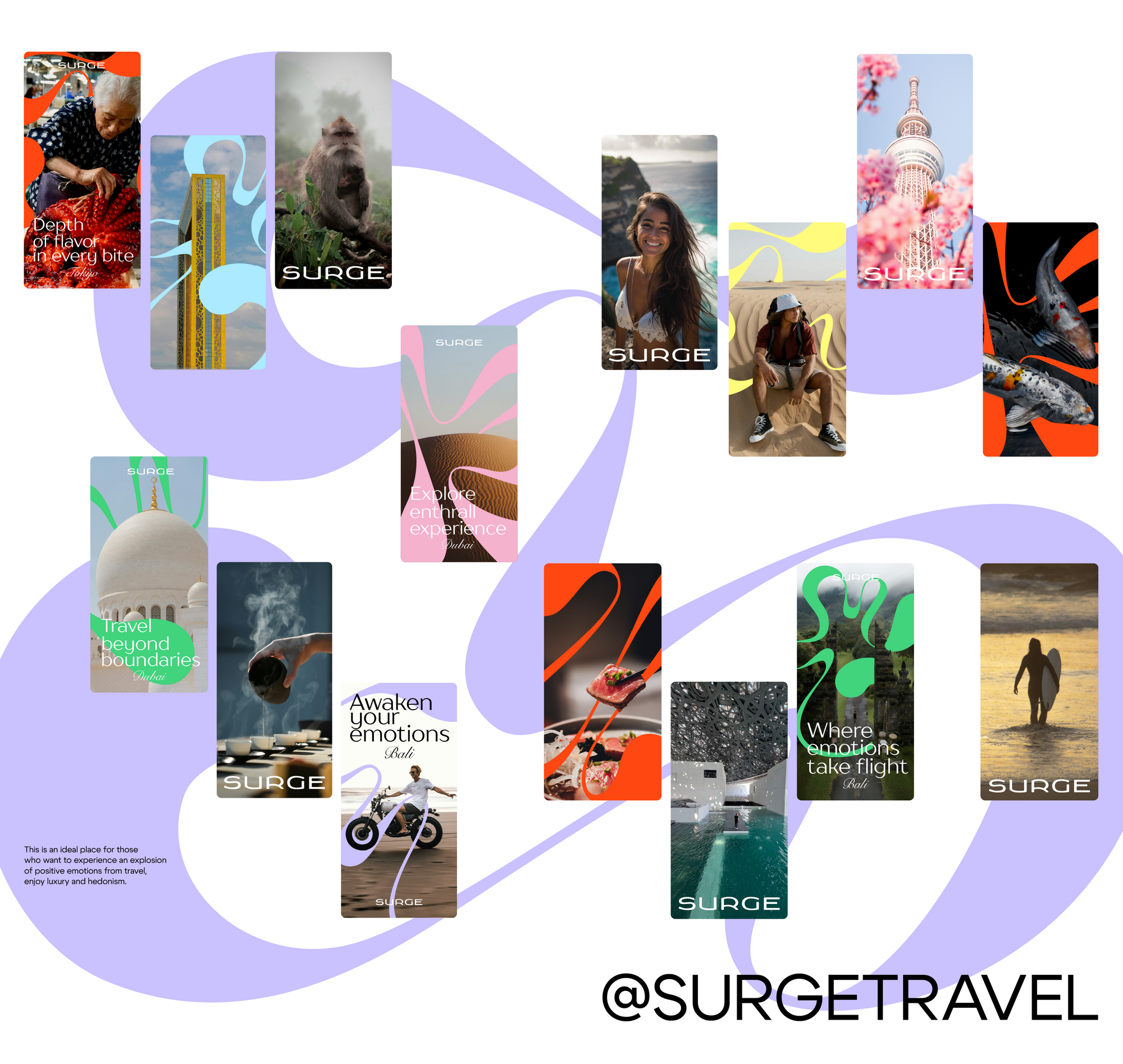 SURGE — Изображение №12 — Брендинг, Графика на Dprofile