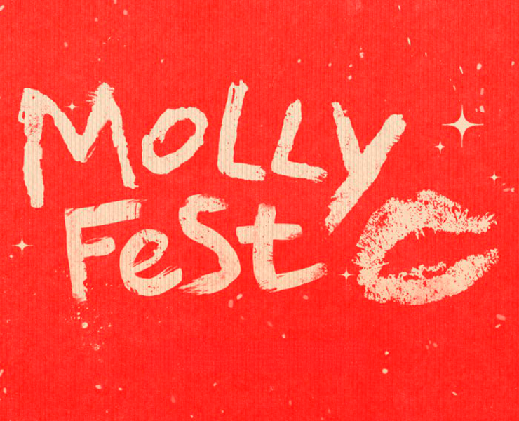 MollyFest Winter Tour — Брендинг на Dprofile
