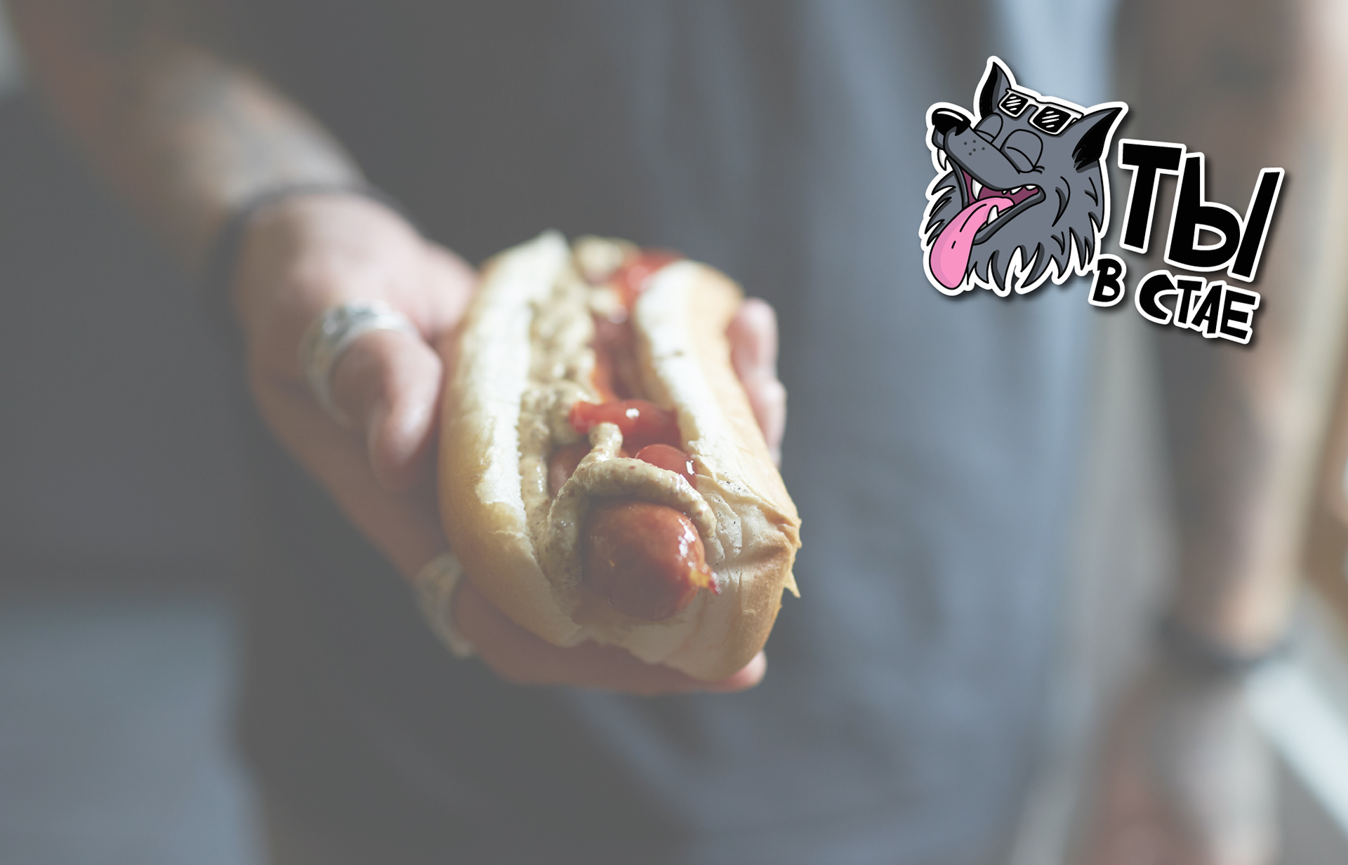 IDENTITY HOT DOG — Изображение №19 — Брендинг, Иллюстрация на Dprofile