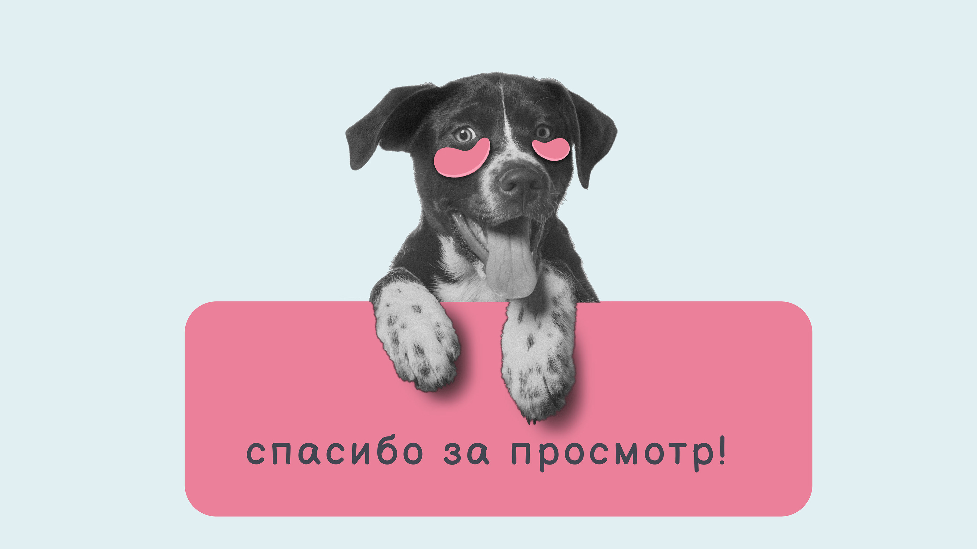 Фирменный стиль для мастера груминга — Изображение №13 — Брендинг на Dprofile