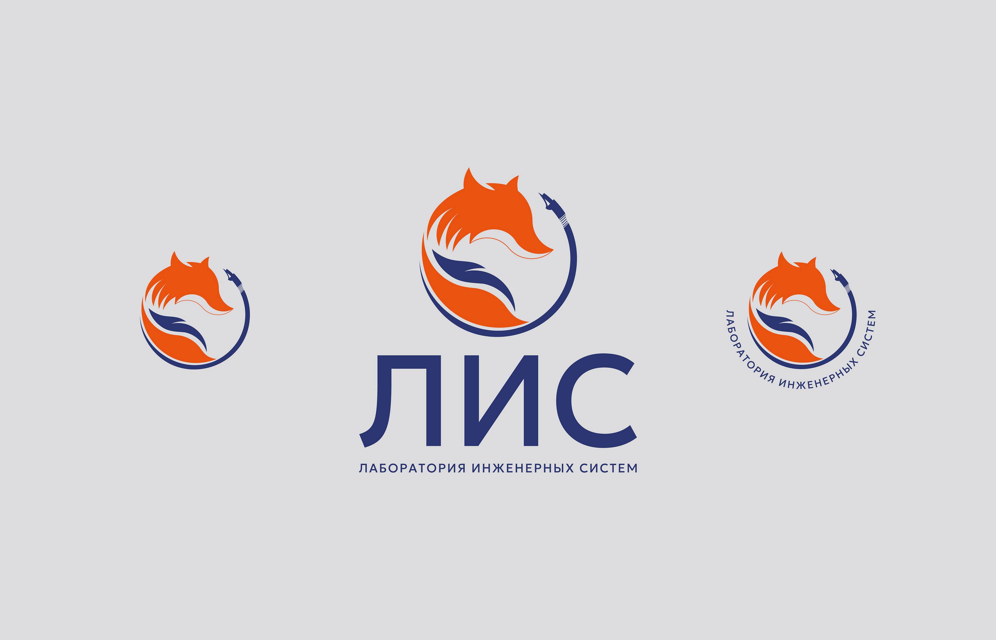 Логотип для лаборатории инженерных систем "ЛИС" — Изображение №2 — Брендинг на Dprofile