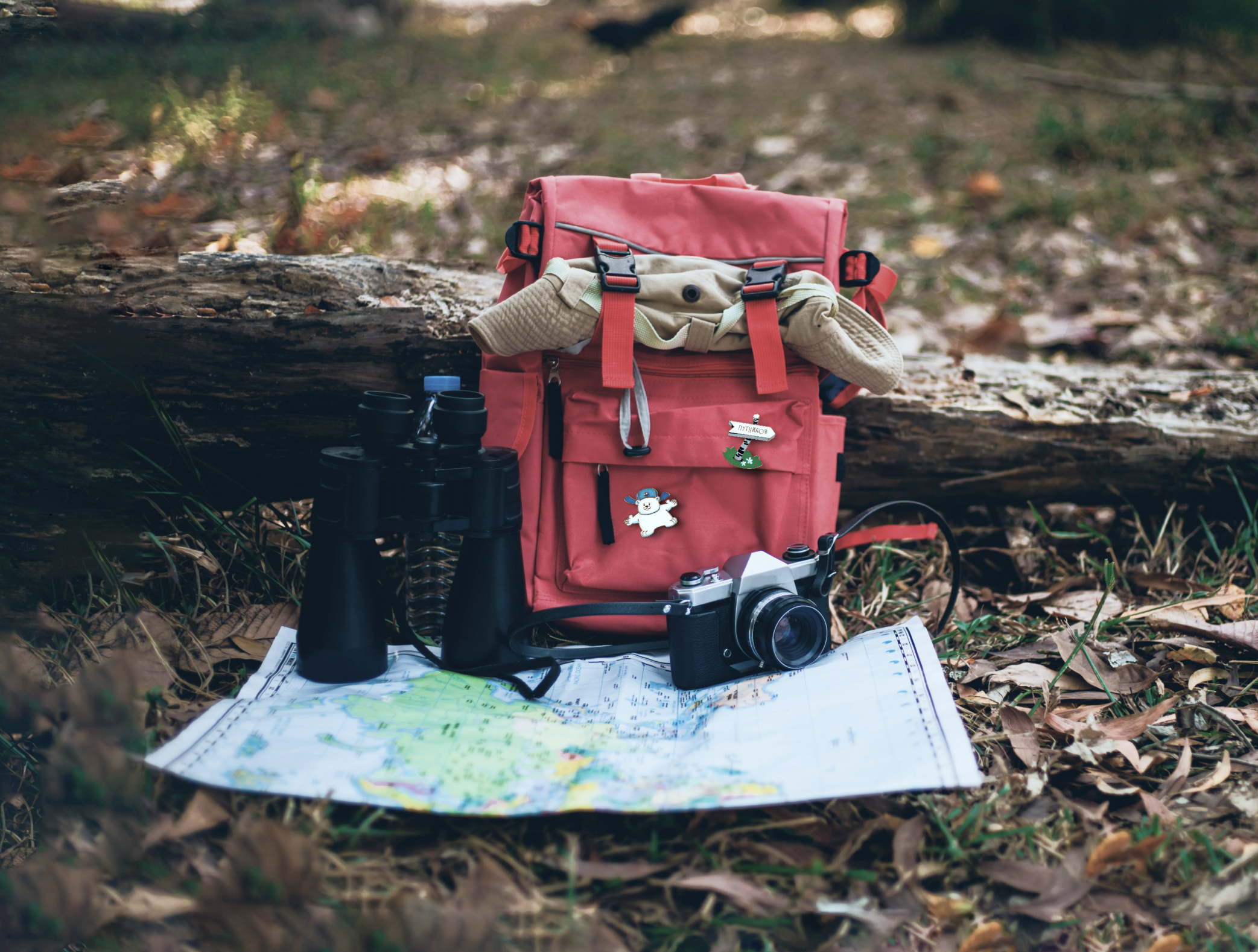 Мерч турагенства — Изображение №12 — Брендинг, Иллюстрация на Dprofile