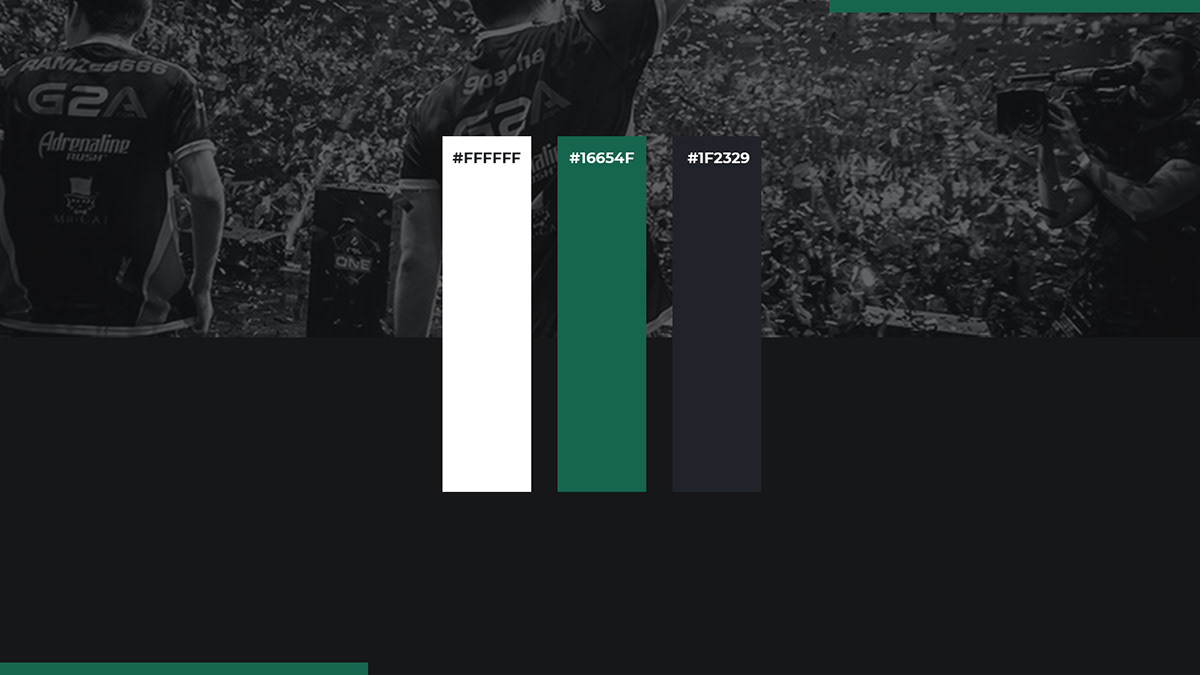 All Esports Money | Logotype | USA — Изображение №5 — Брендинг на Dprofile