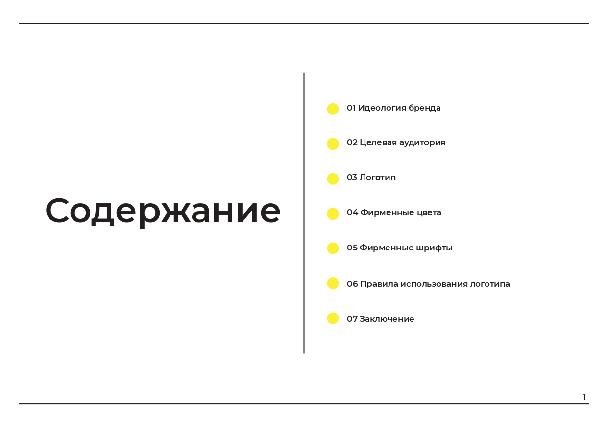 Брендбук. Лого для личного бренда — Изображение №2 — Брендинг на Dprofile