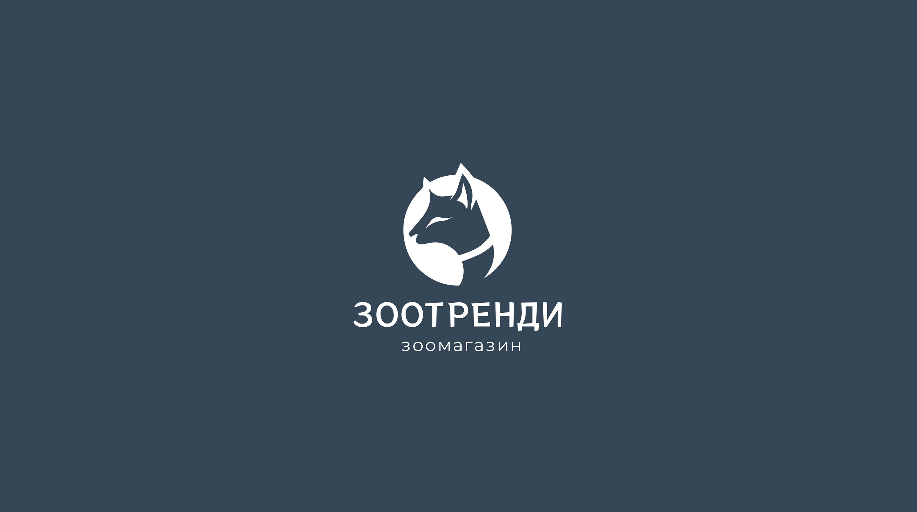 ФИРМЕНЫЙ СТИЛЬ ЗООМАГАЗИН "ЗООТРЕНДИ" — Изображение №2 — Брендинг на Dprofile