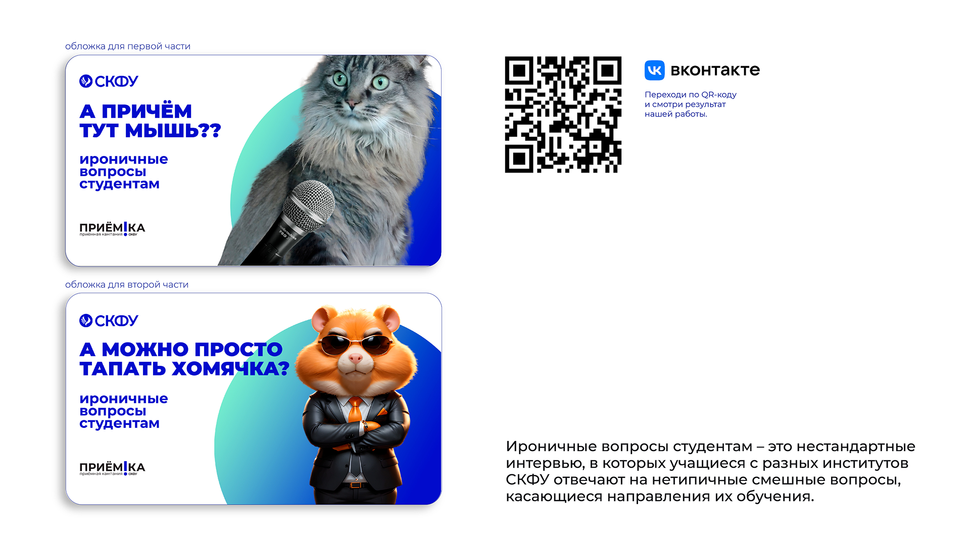 Приёмная кампания СКФУ 2024 — Изображение №12 — Брендинг, Маркетинг на Dprofile
