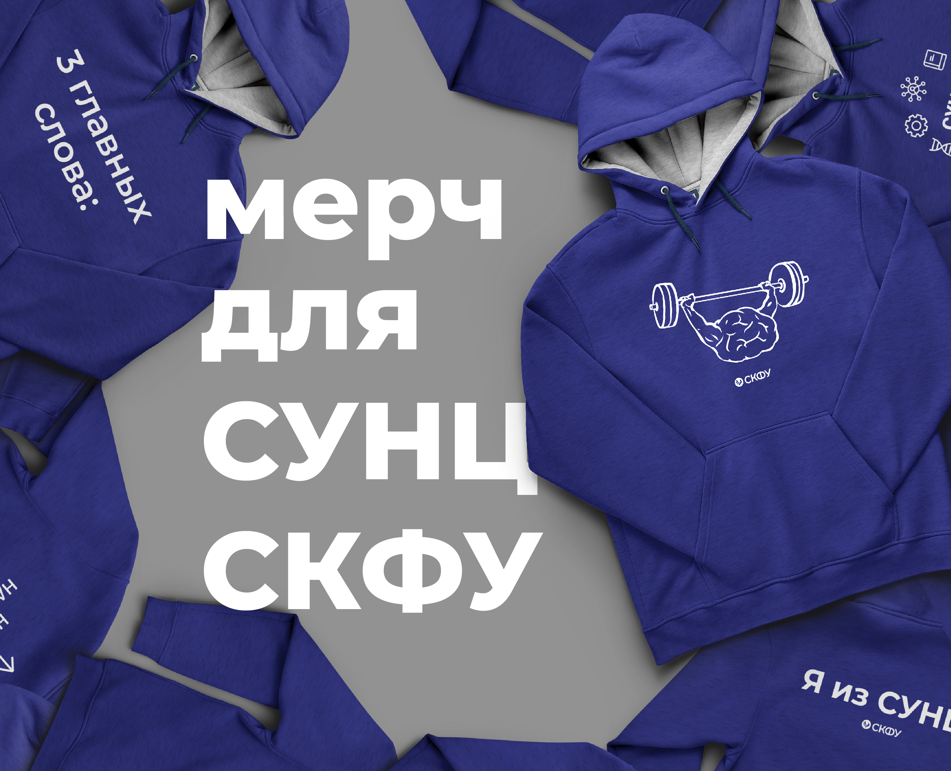 Мерч для школьников СУНЦ — Брендинг, Графика на Dprofile