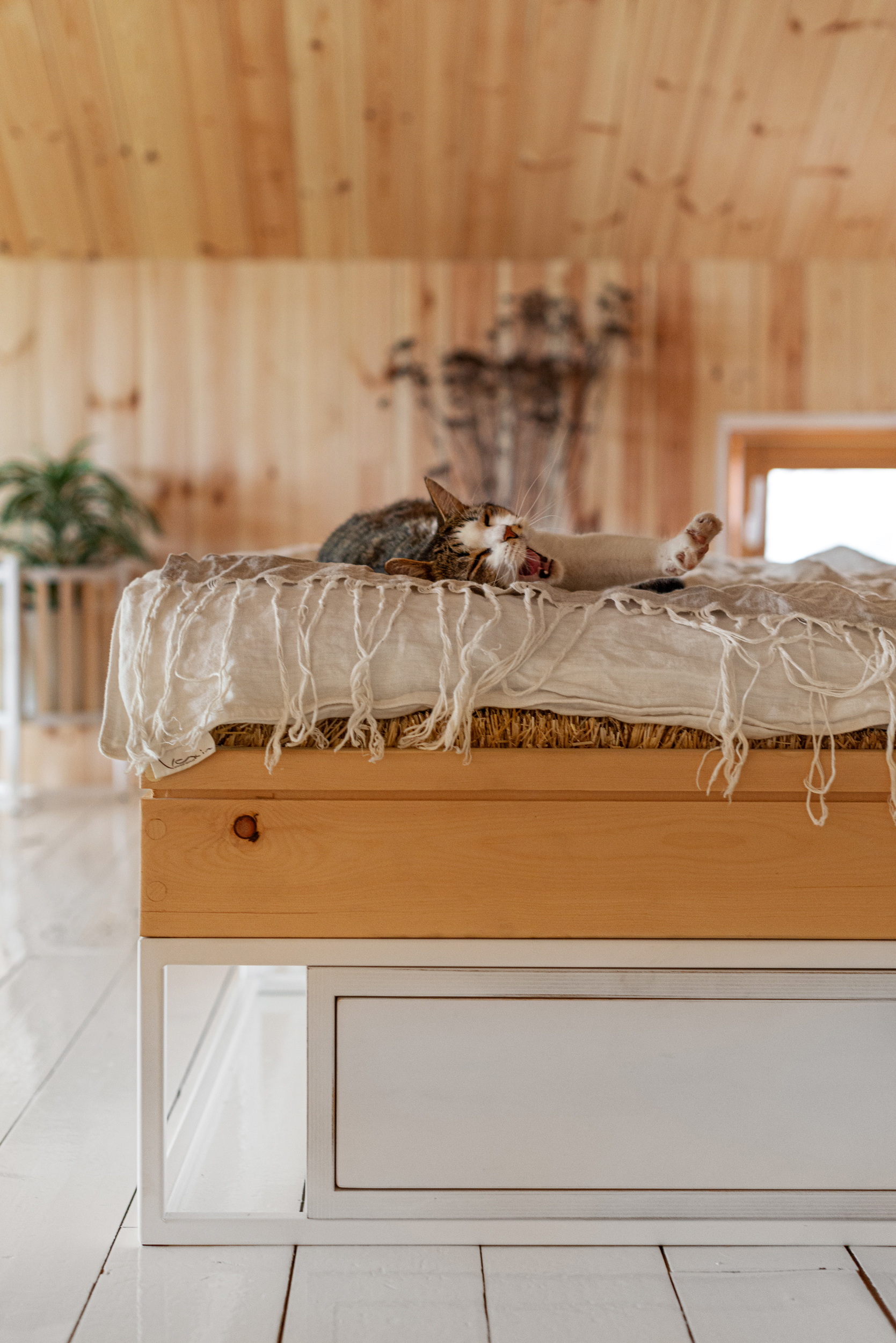 Дом, окнами в поле — Изображение №23 — Промдизайн на Dprofile