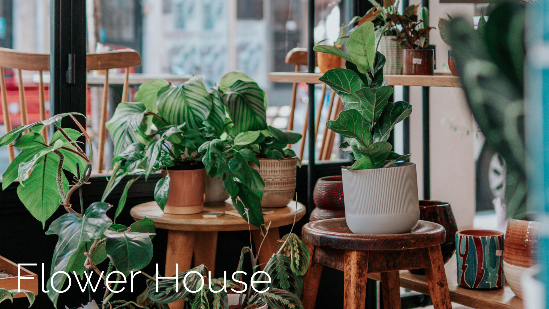 Flower House landing page concept — Изображение №1 — Интерфейсы на Dprofile