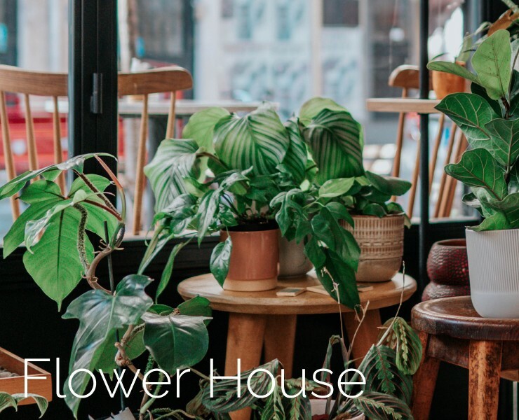 Flower House landing page concept — Интерфейсы на Dprofile