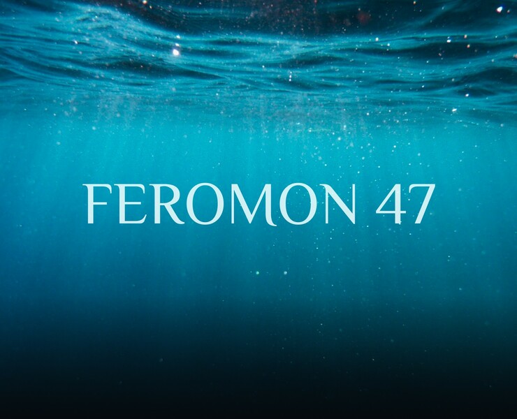 Feromon 47 - landing page — Интерфейсы на Dprofile