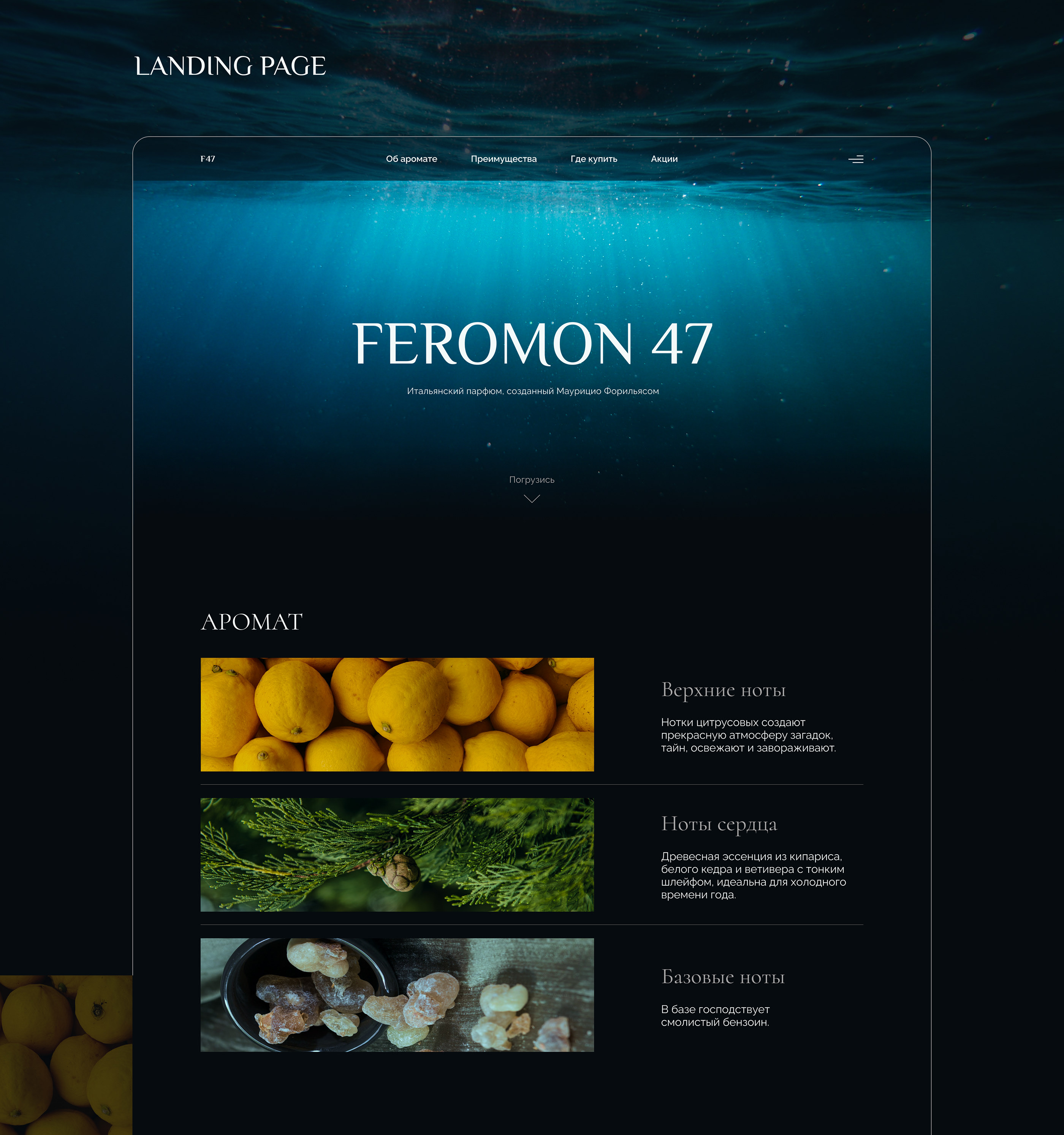 Feromon 47 - landing page — Изображение №1 — Интерфейсы на Dprofile