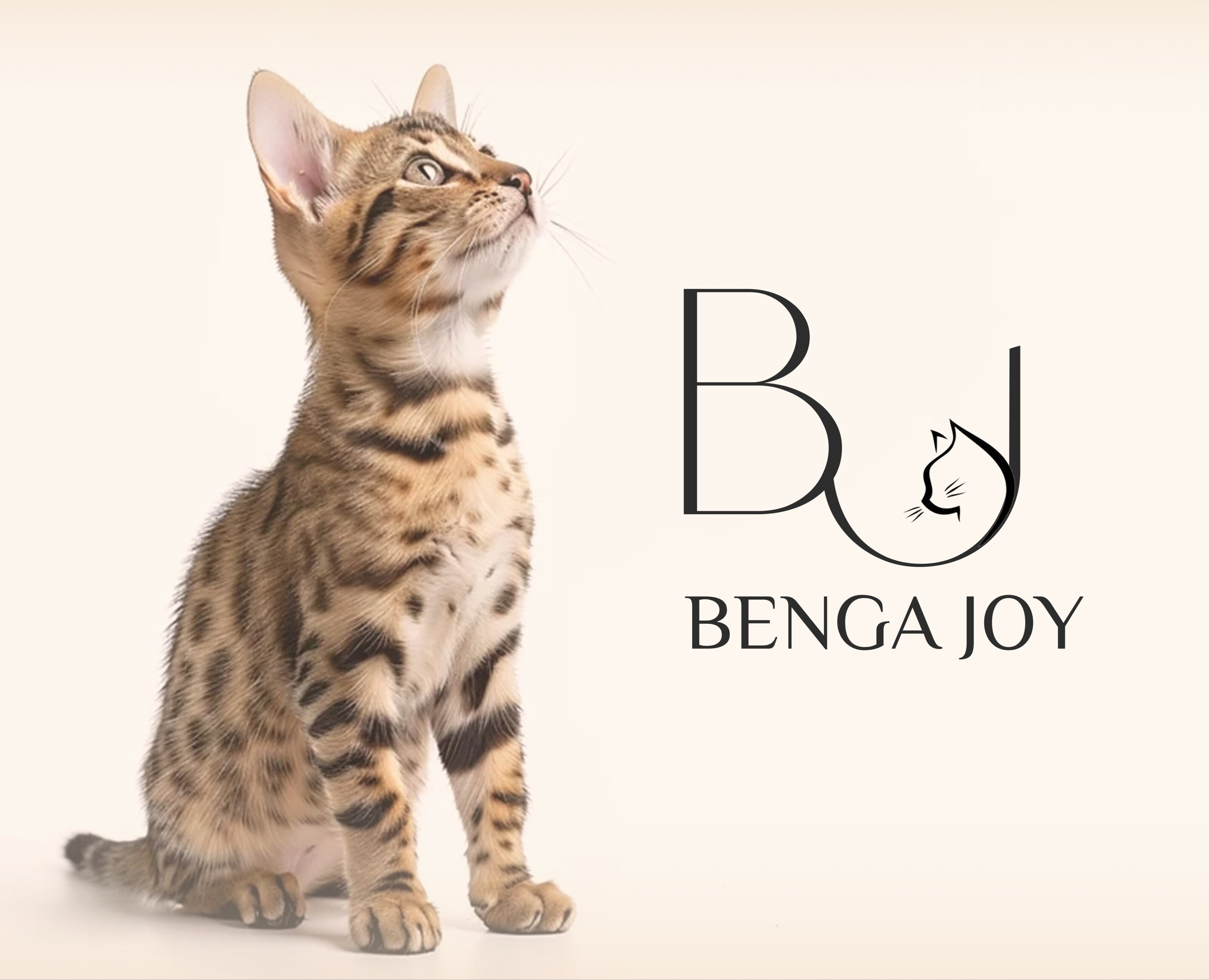 Интернет магазин для бренда Benga Joy — Интерфейсы на Dprofile