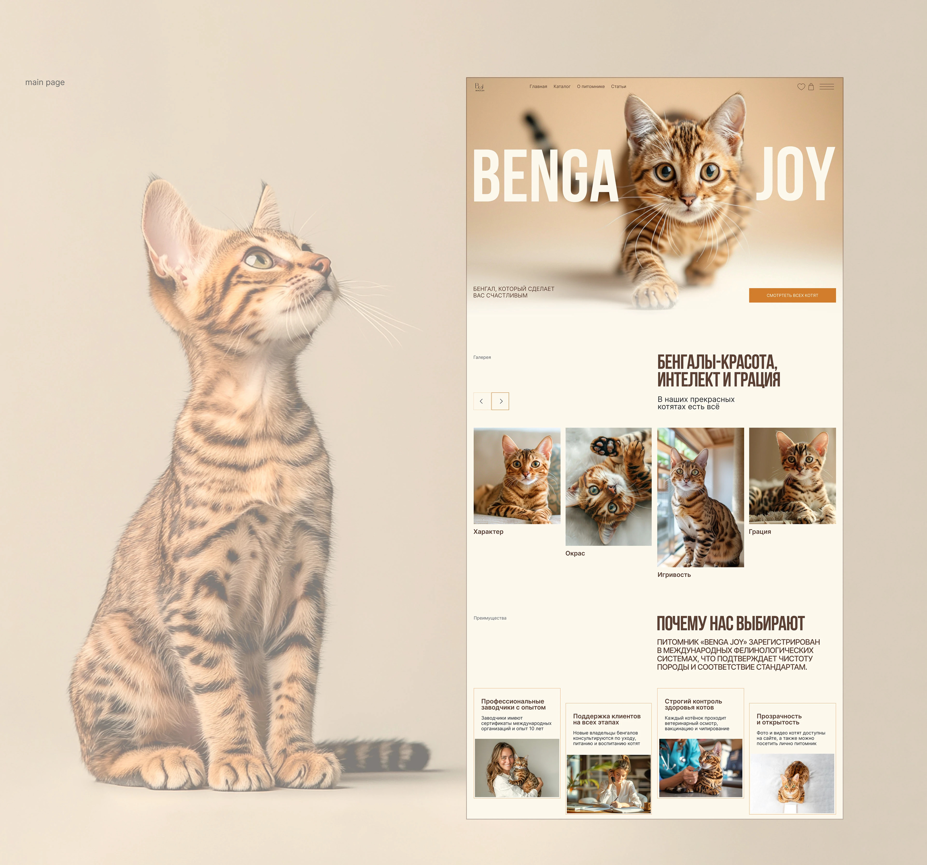 Интернет магазин для бренда Benga Joy — Изображение №3 — Интерфейсы на Dprofile