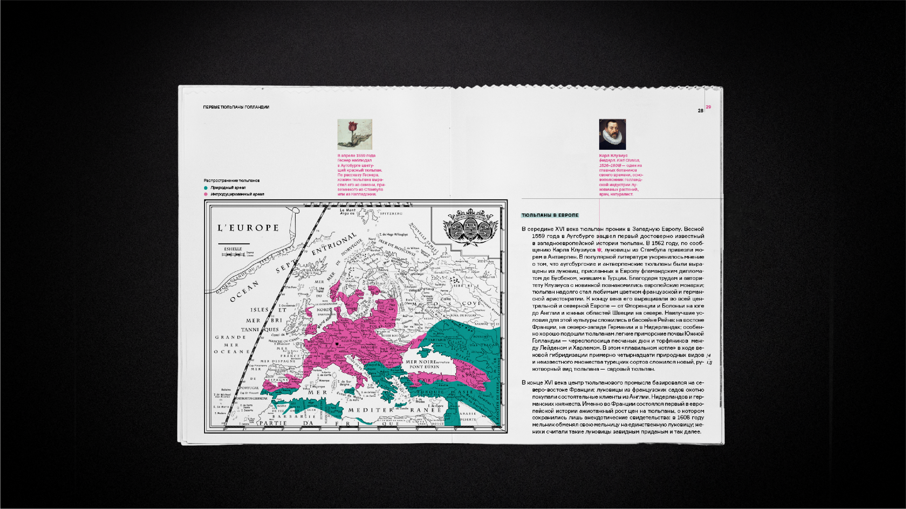 Тюльпаномания | Дизайн книги — Изображение №10 — Графика на Dprofile