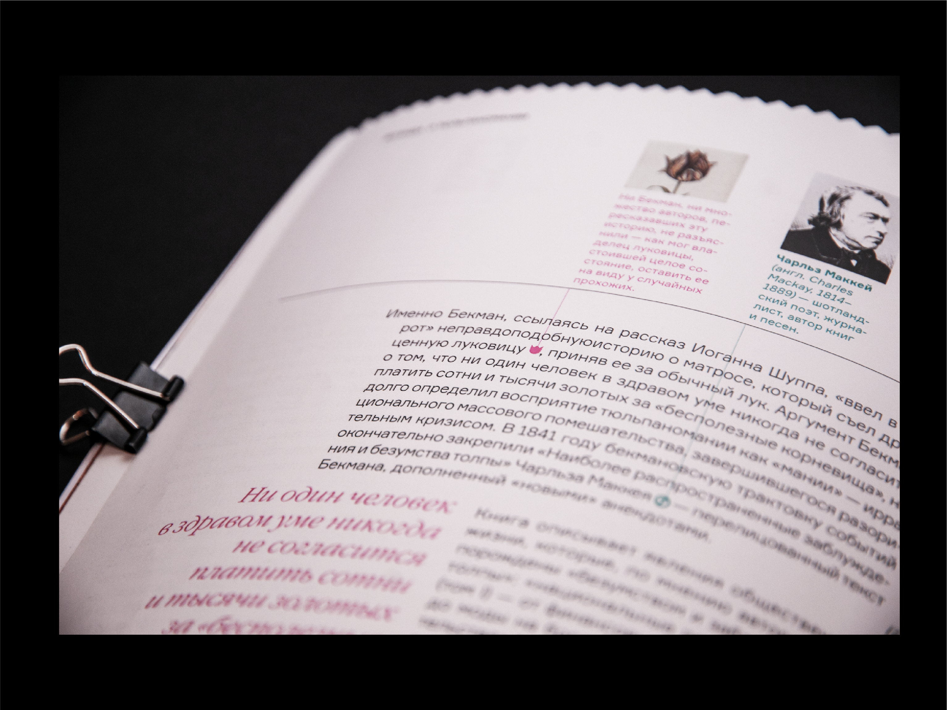Тюльпаномания | Дизайн книги — Изображение №12 — Графика на Dprofile