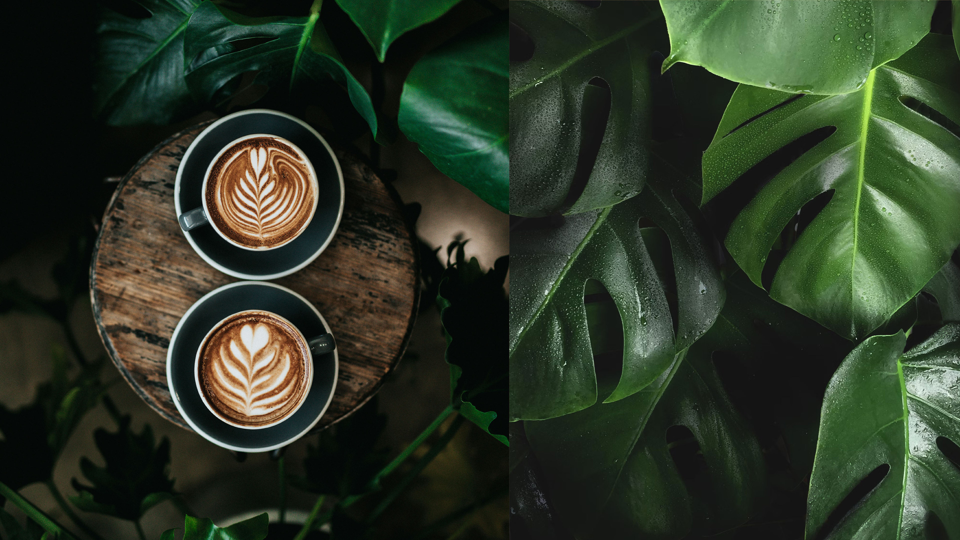 Фирменный стиль кофейни — Изображение №4 — Брендинг на Dprofile