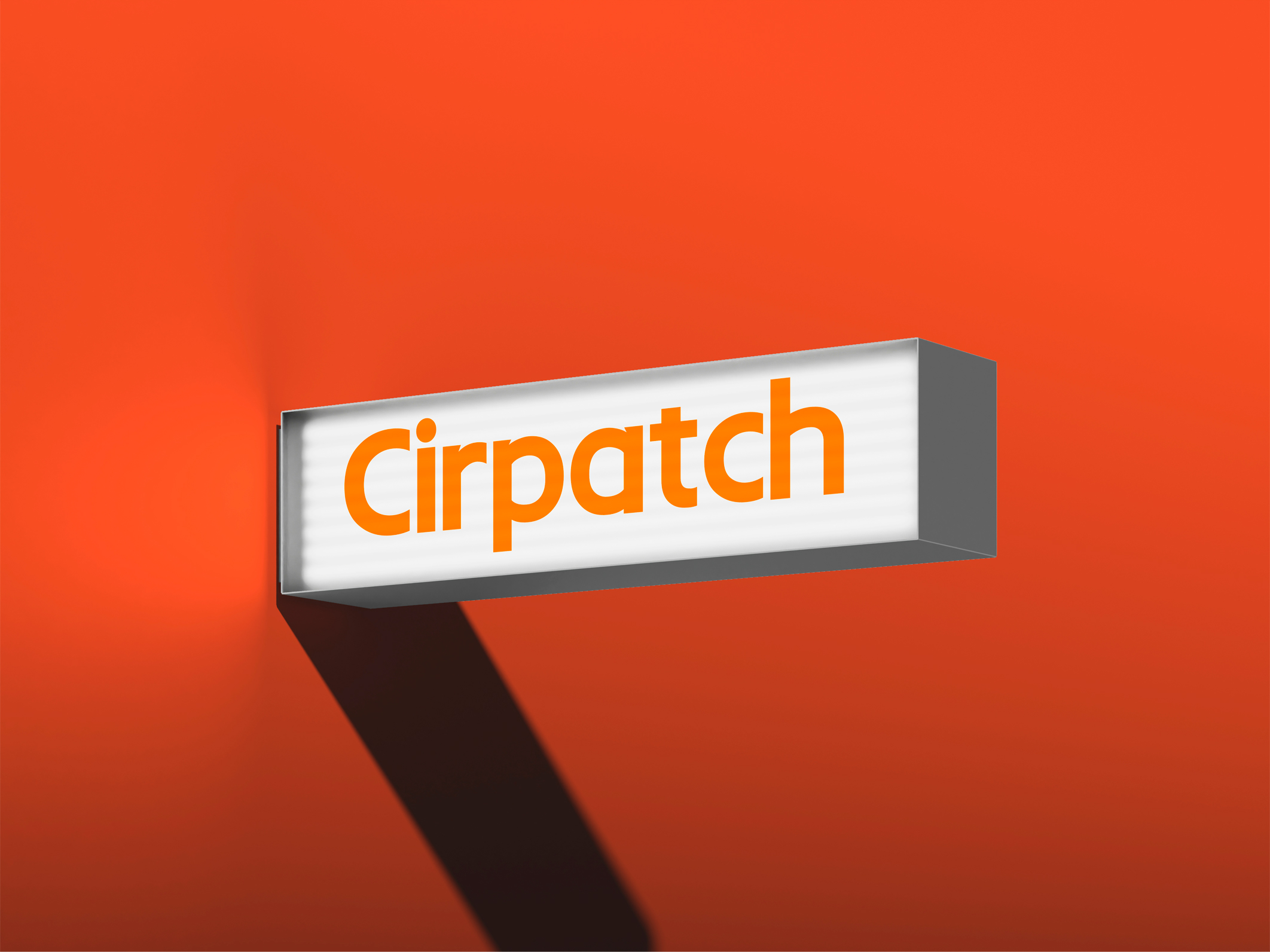 CIRPATCH | Логотип и упаковка — Изображение №2 — Брендинг на Dprofile