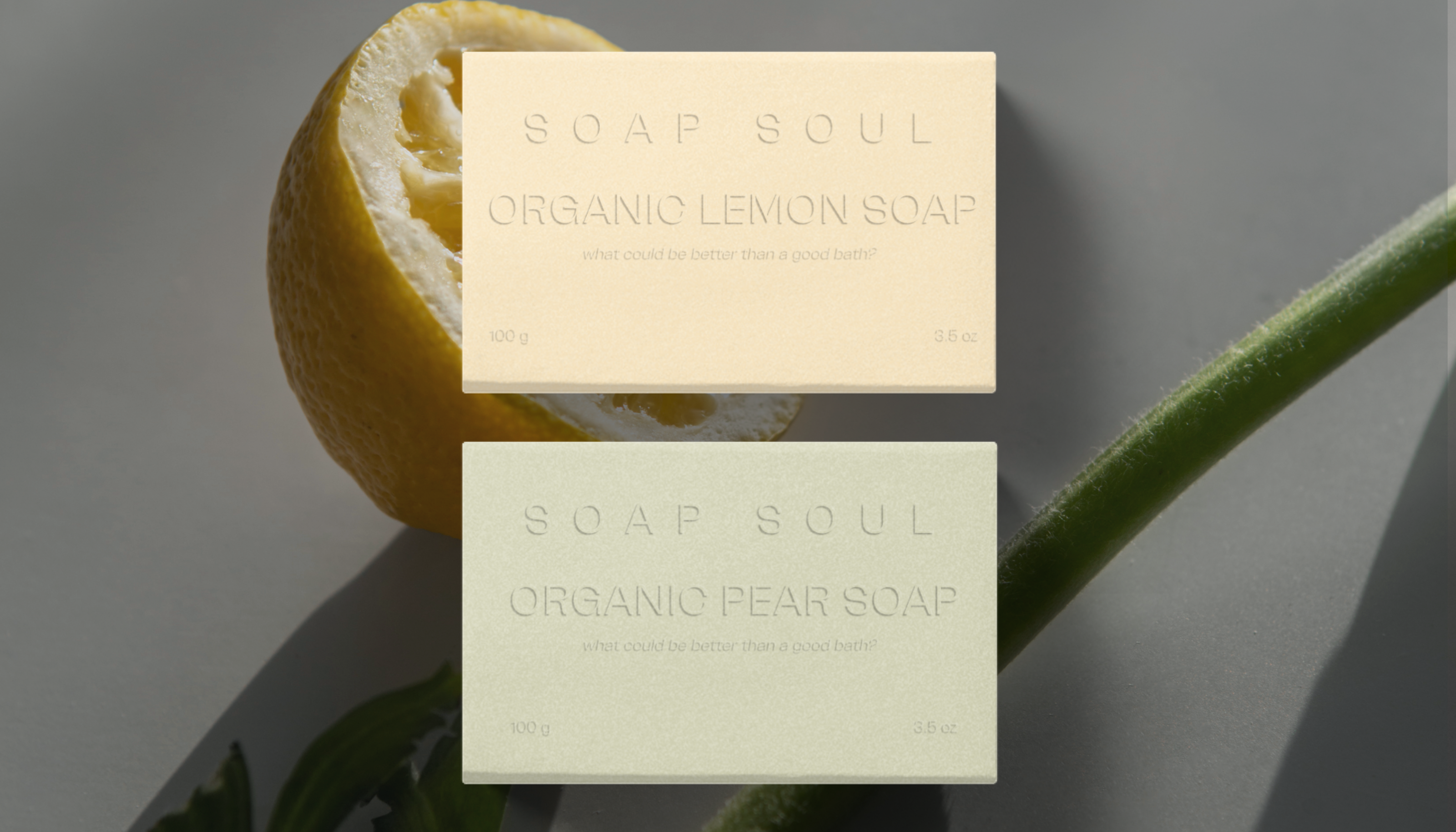 soap soul | разработка упаковки для органического мыла — Изображение №3 — Интерфейсы, Брендинг на Dprofile