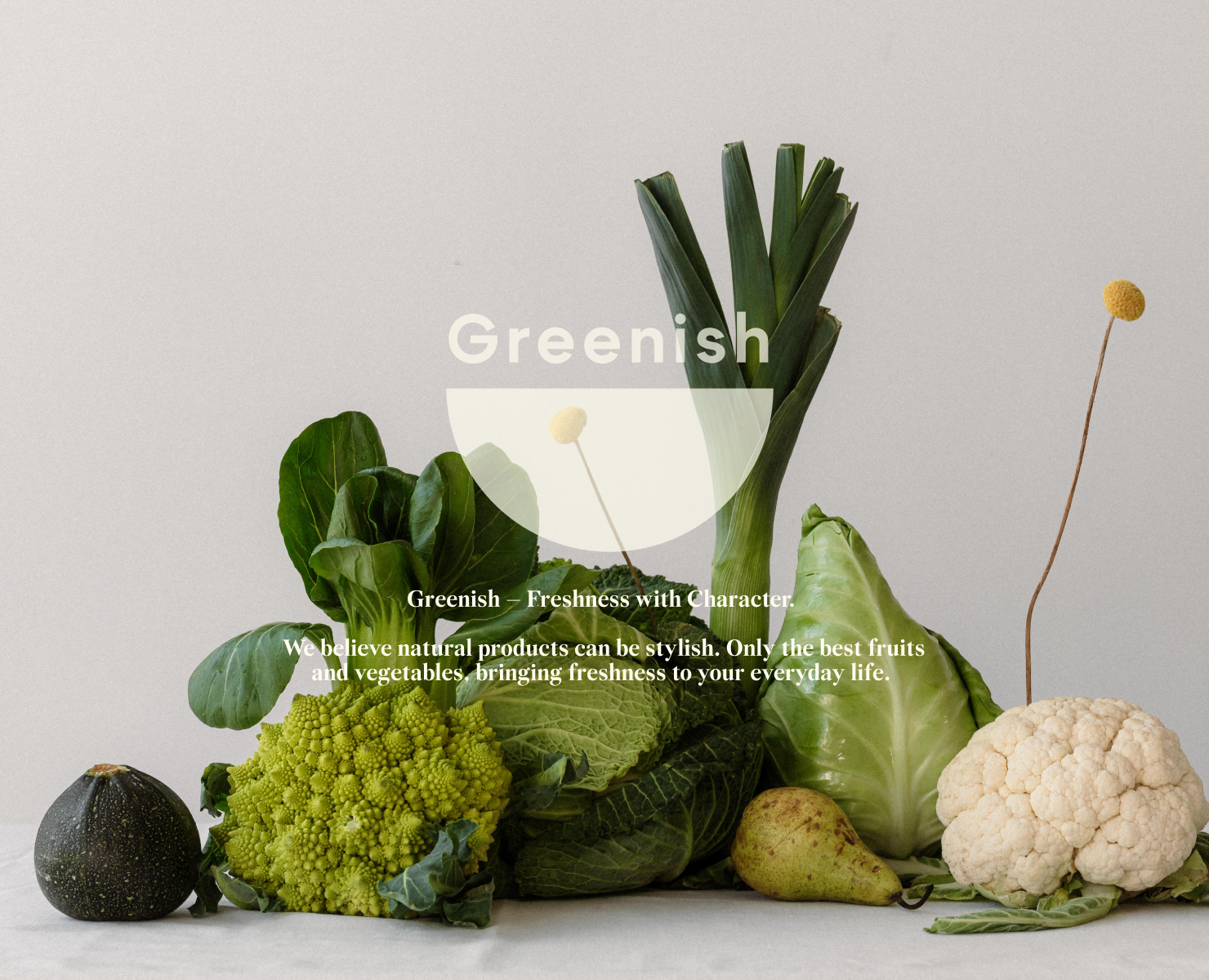 greenish | разработка фирменного стиля для магазина на Dprofile