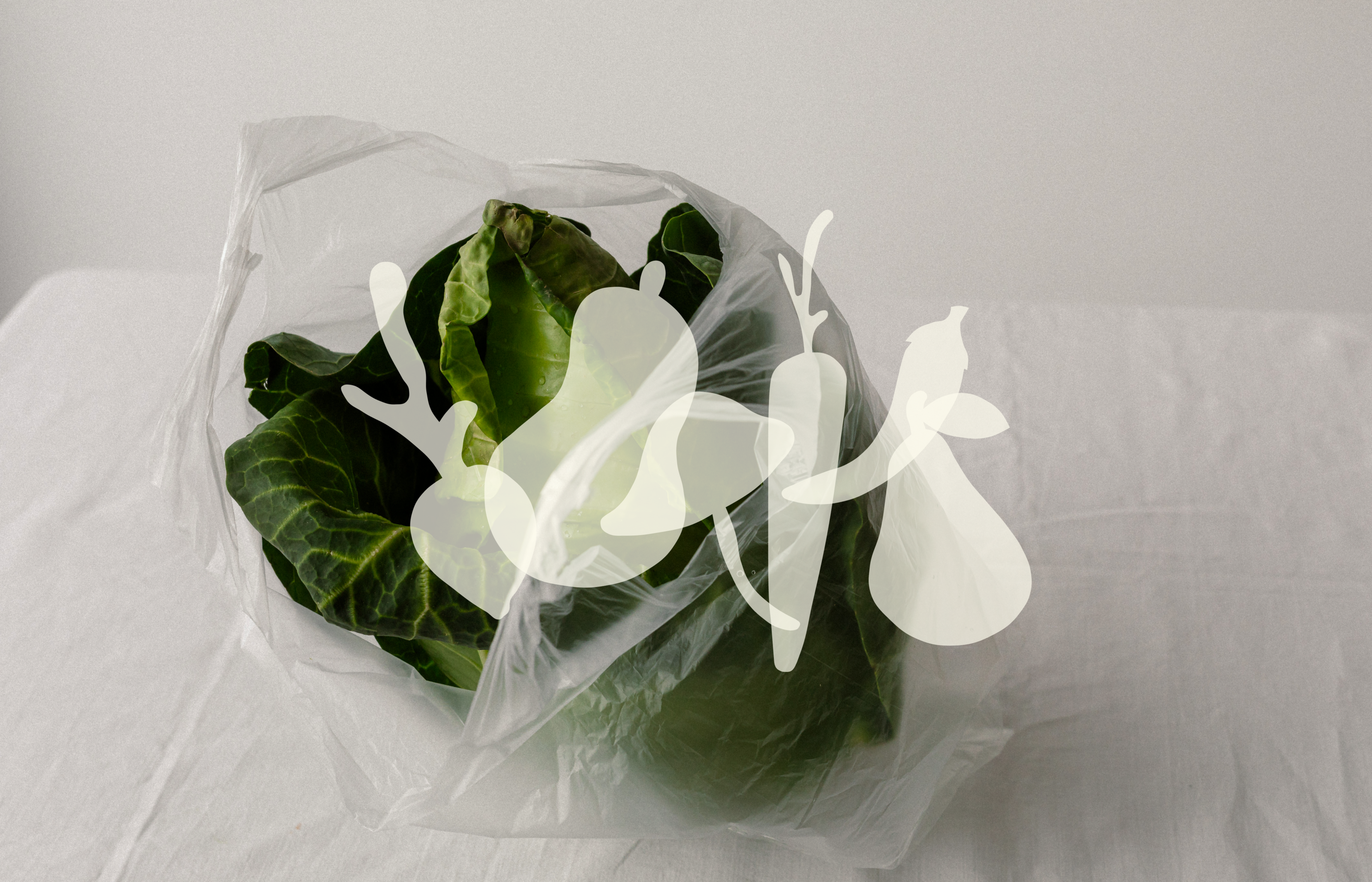 greenish | разработка фирменного стиля для магазина — Изображение №5 — Интерфейсы, Брендинг на Dprofile
