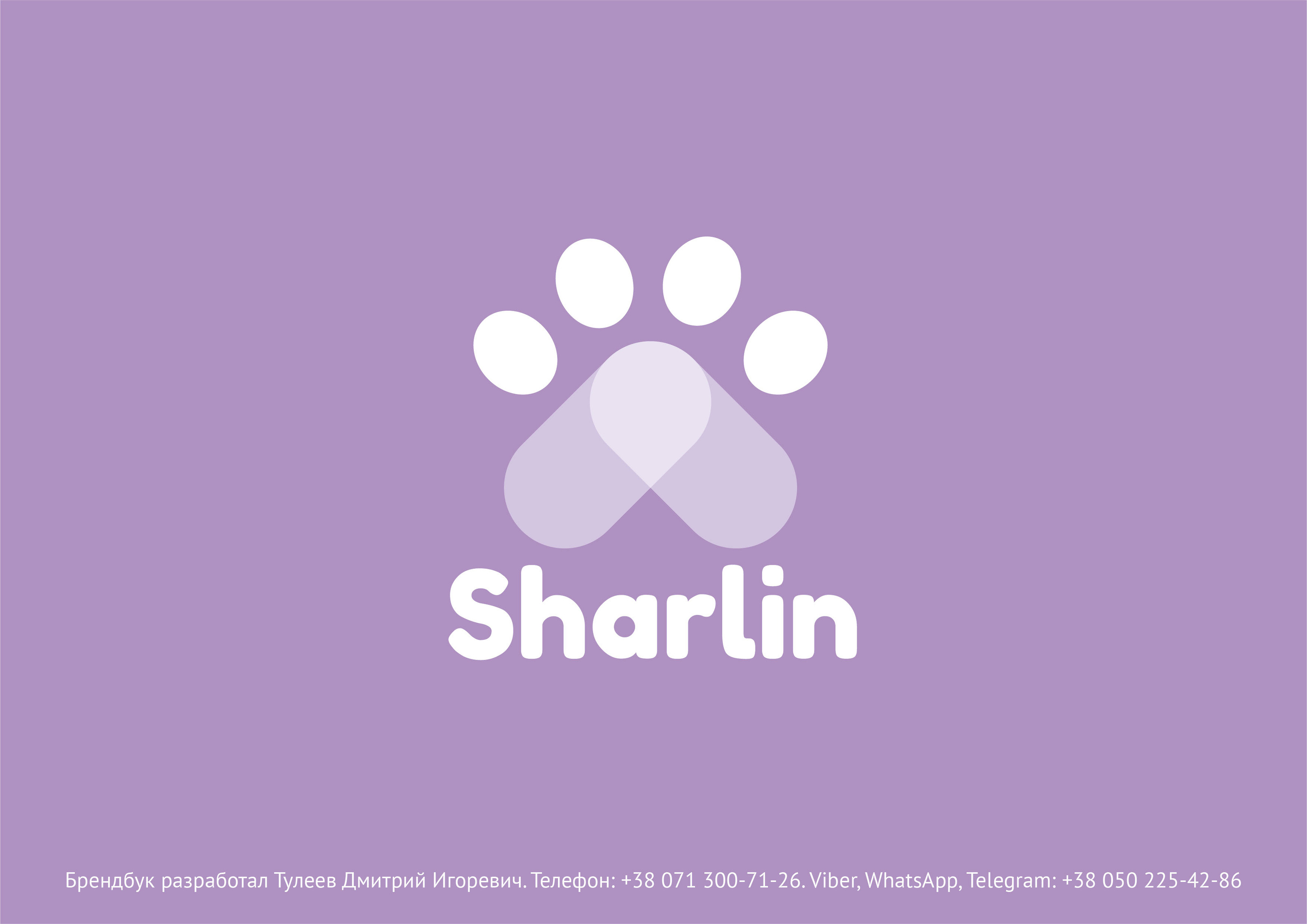 Брендбук Sharlin — Изображение №12 — Брендинг на Dprofile