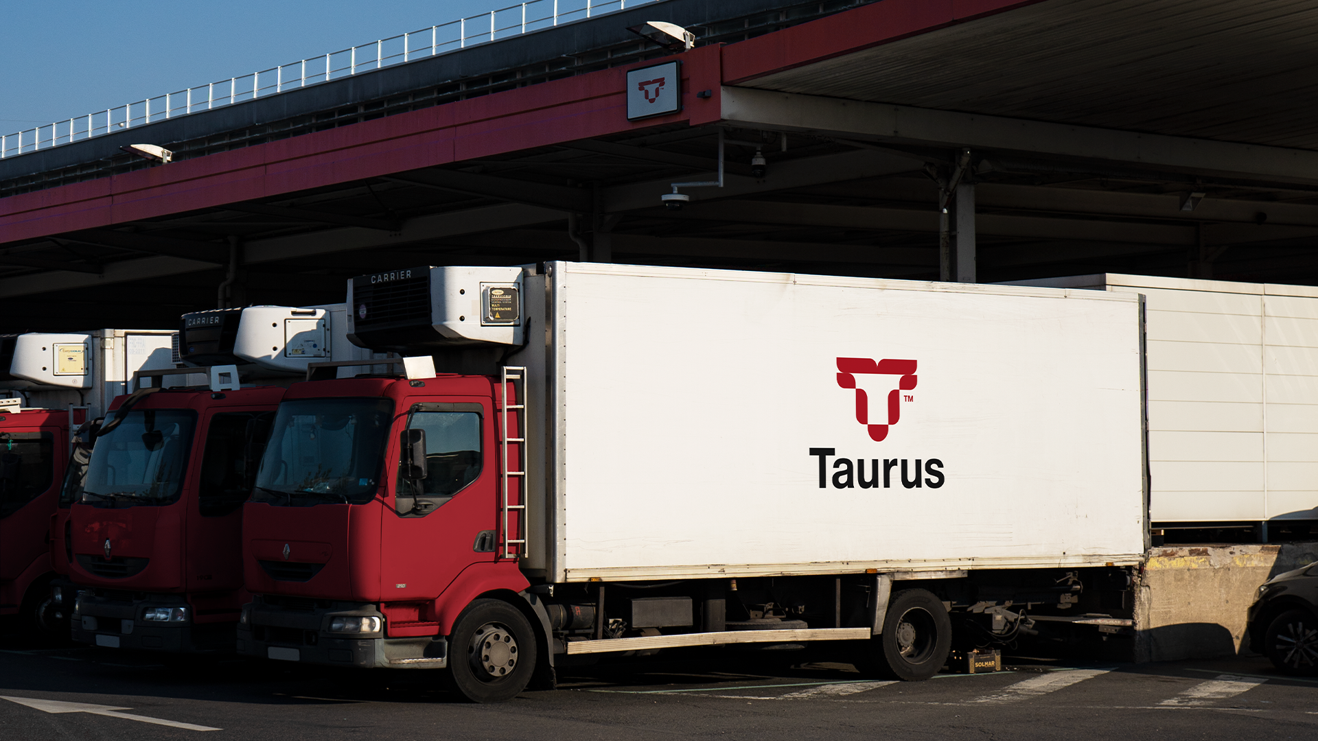 Taurus™ // мясная лавка — Изображение №15 — Брендинг, Графика на Dprofile