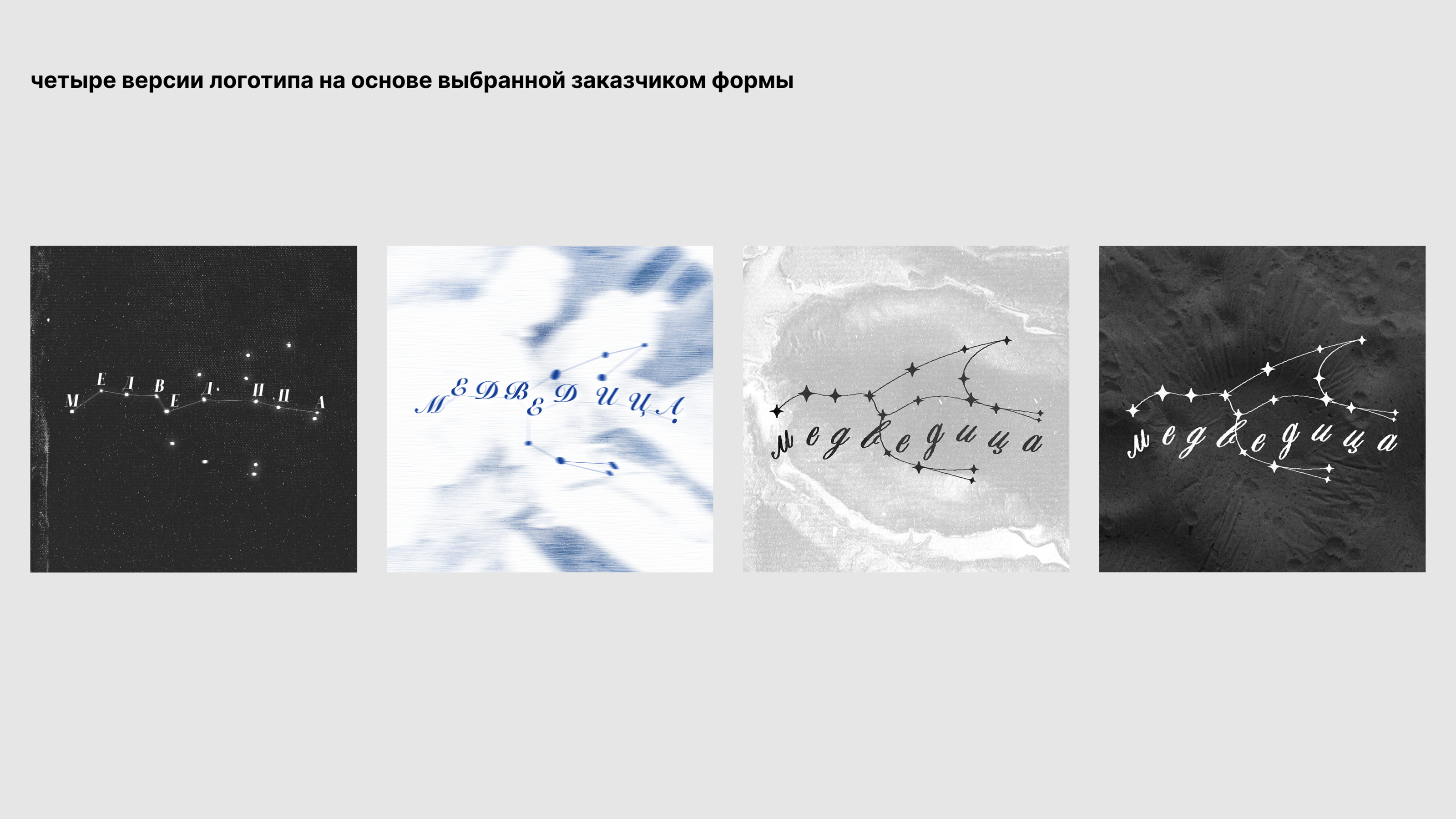 разработка логотипа для музыкальной группы «Медведица» — Изображение №5 — Брендинг на Dprofile