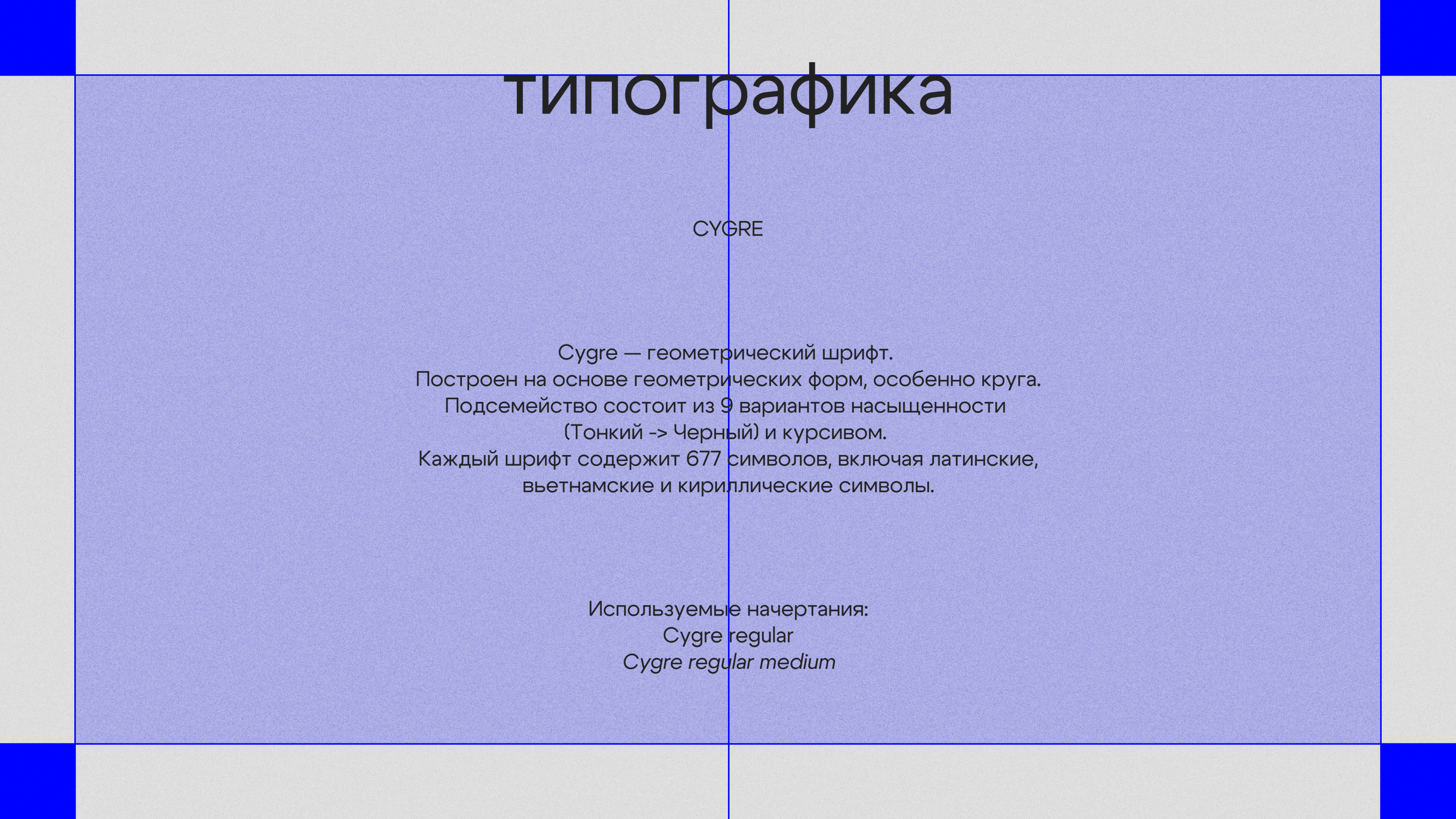 «ударение» — Изображение №5 — Брендинг на Dprofile