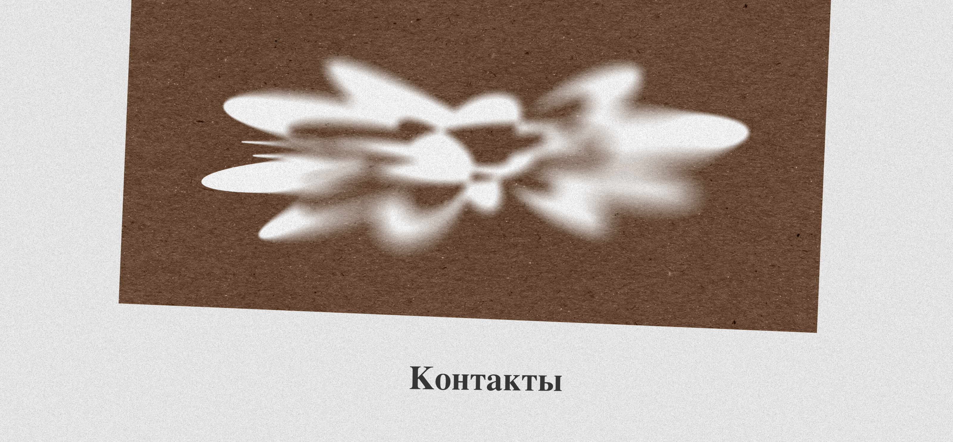 Портфолио — Изображение №18 — Брендинг, Маркетинг на Dprofile