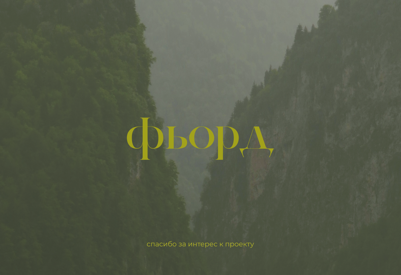 Фьорд // упаковка — Изображение №7 — Брендинг на Dprofile