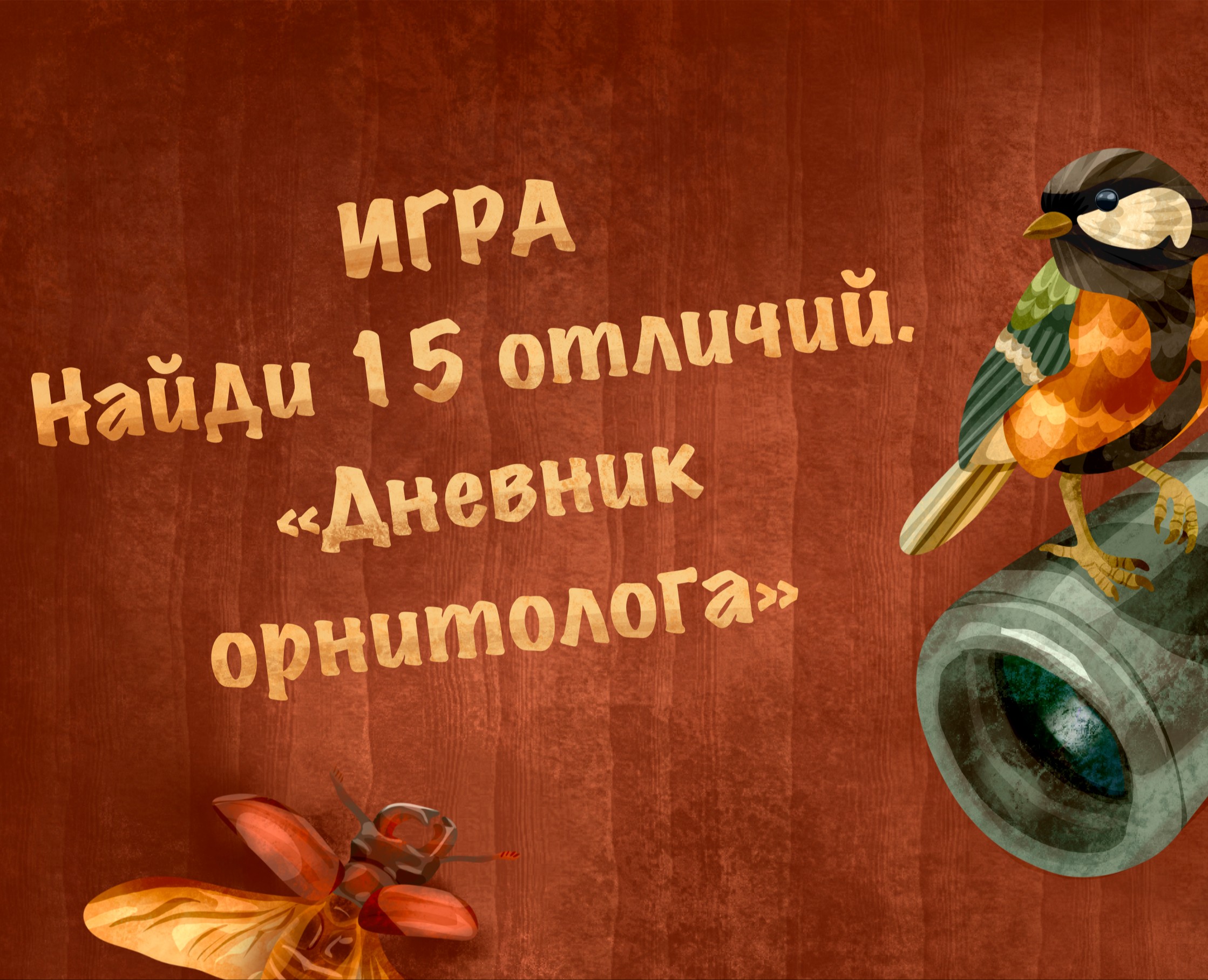 Игра Найди отличия: дневник орнитолога — Иллюстрация на Dprofile