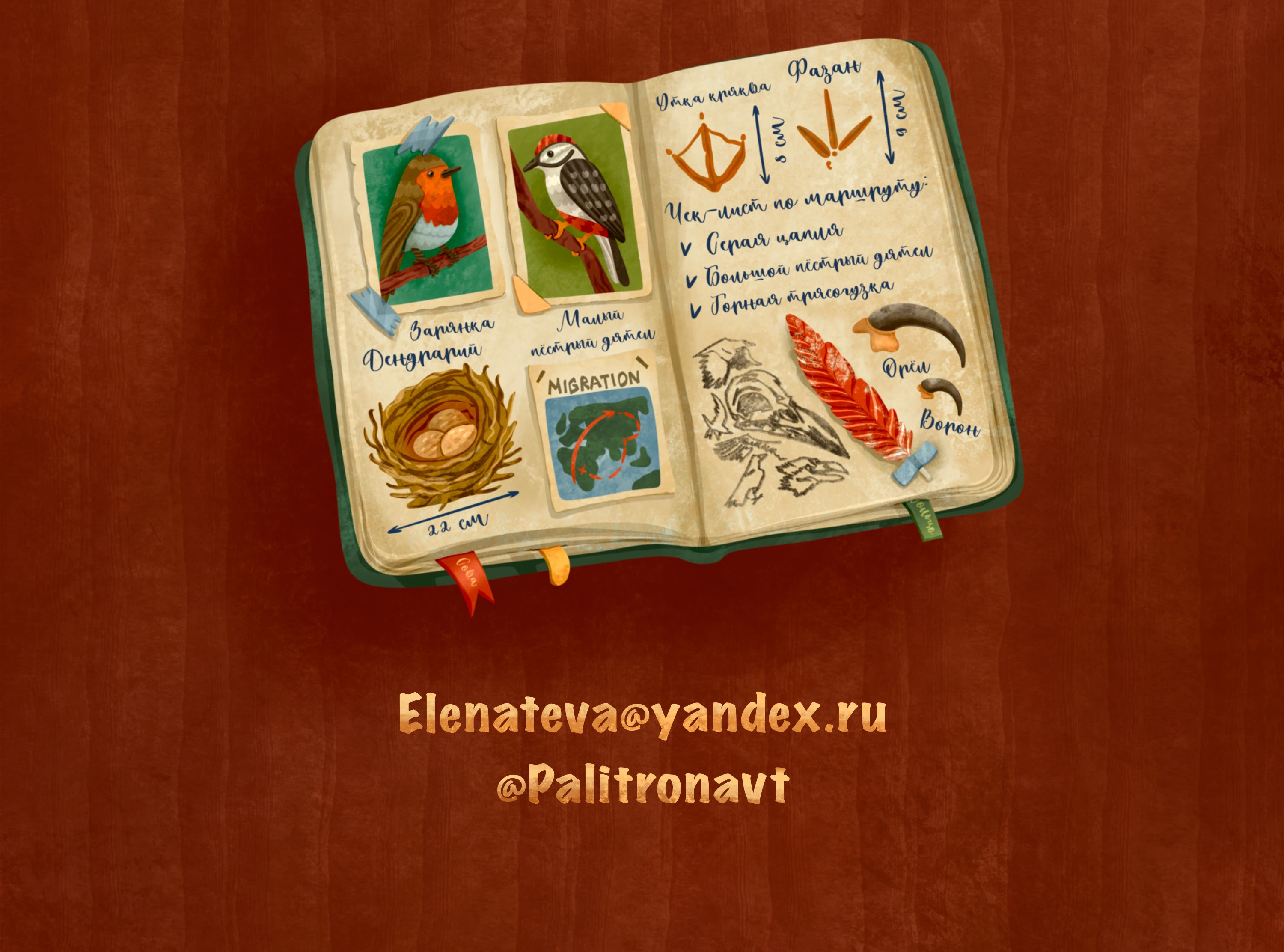Игра Найди отличия: дневник орнитолога — Изображение №5 — Иллюстрация на Dprofile